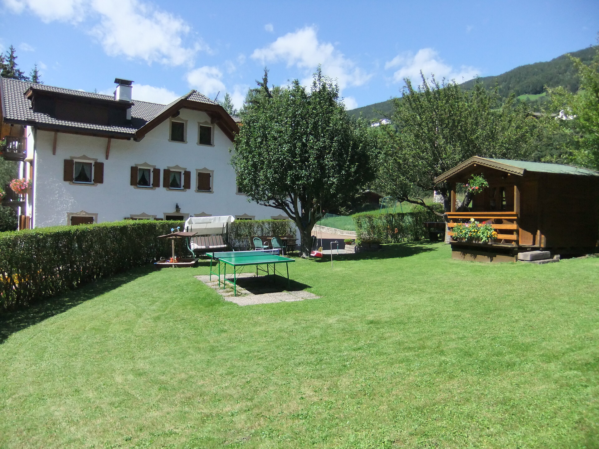 garden