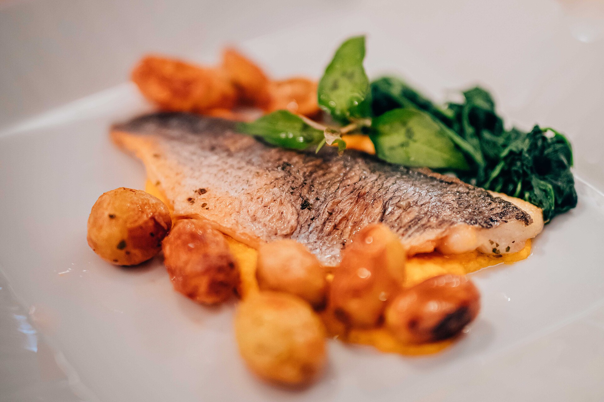 Gourmetdinner