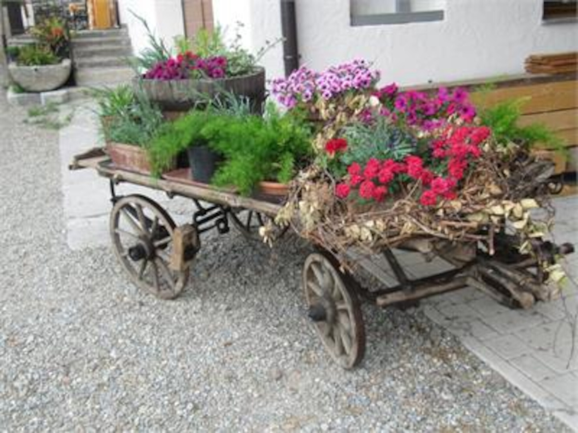 Wohnhof Blumenbeet