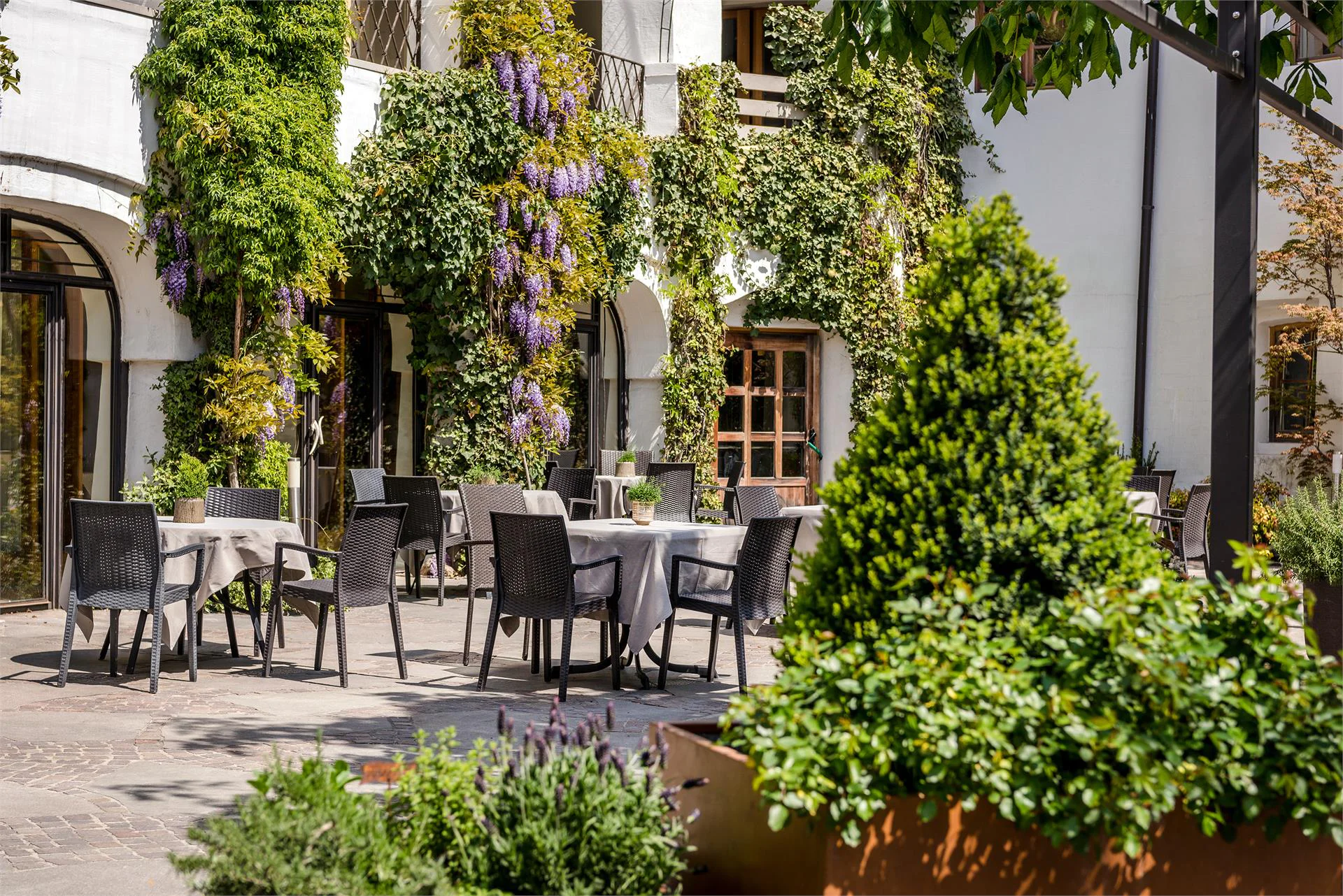 Botango Partschins 17 suedtirol.info