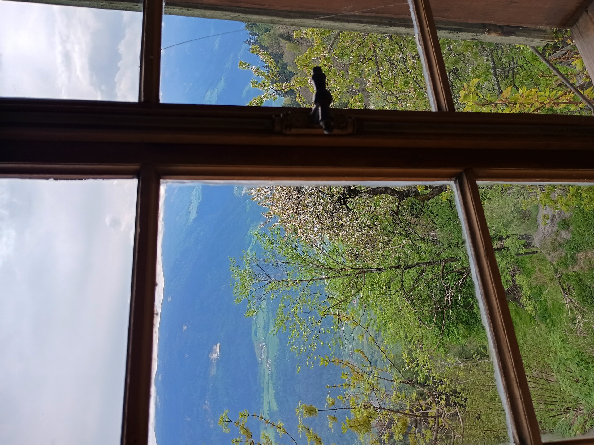 Blick aus dem südseitig gelegenen Fenster im grünen Zimmer