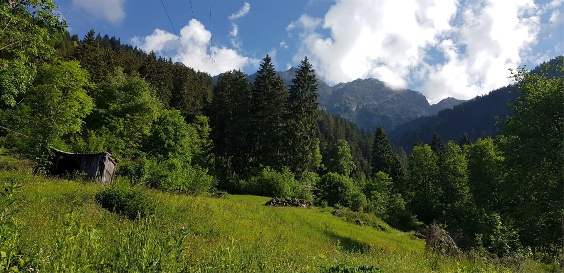 Bad Oberhaus - Meran/Merano and environs - #7 - suedtirol.info