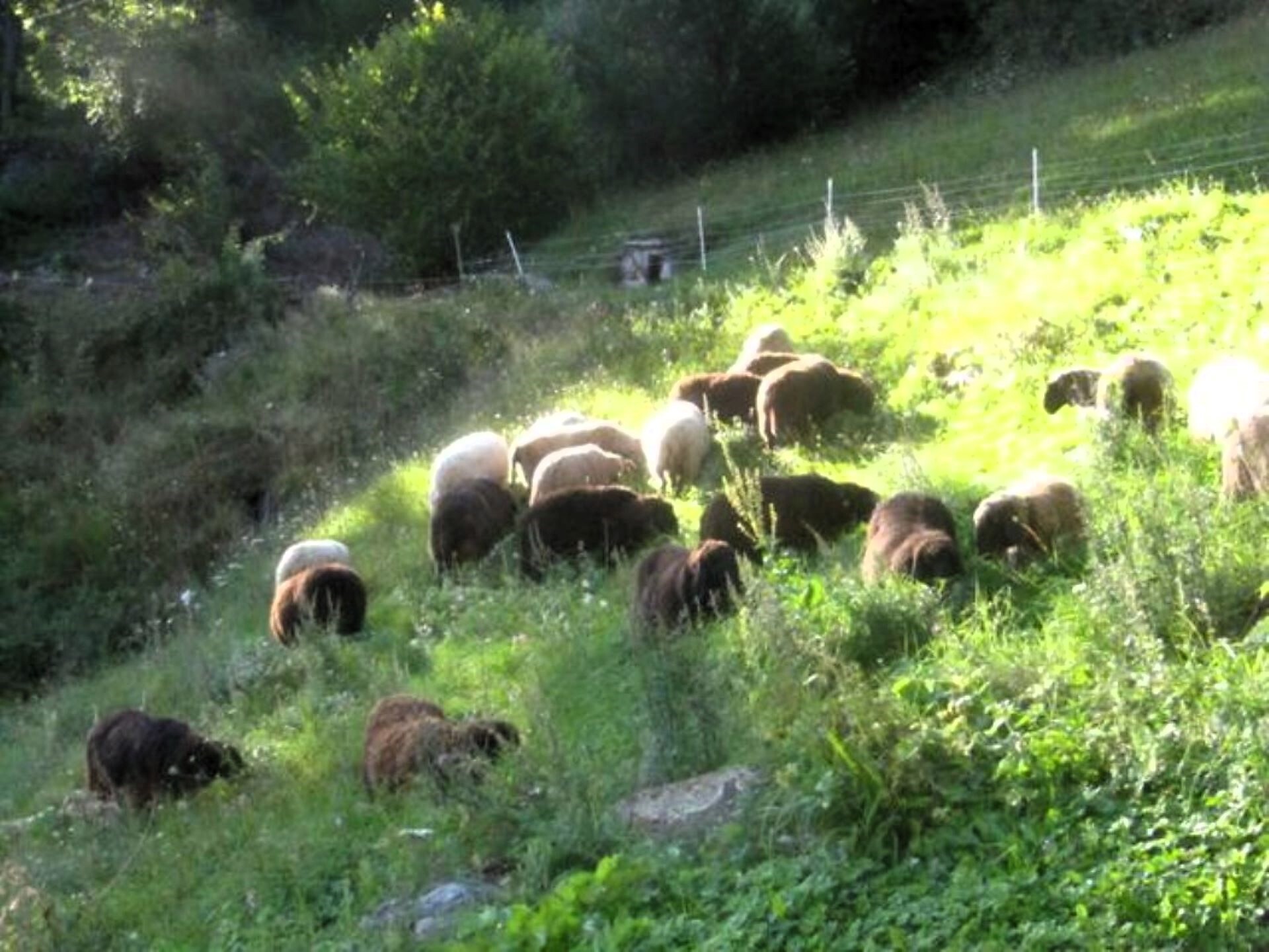Bad Oberhaus - Meran/Merano and environs - #18 - suedtirol.info