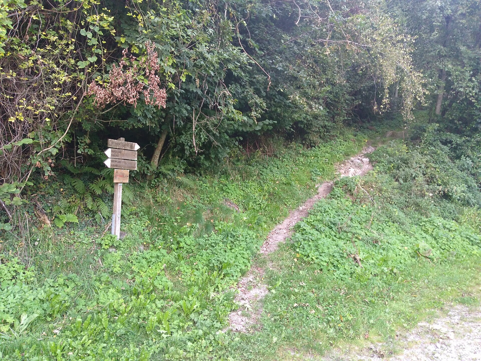 Bad Oberhaus - Meran/Merano and environs - #20 - suedtirol.info