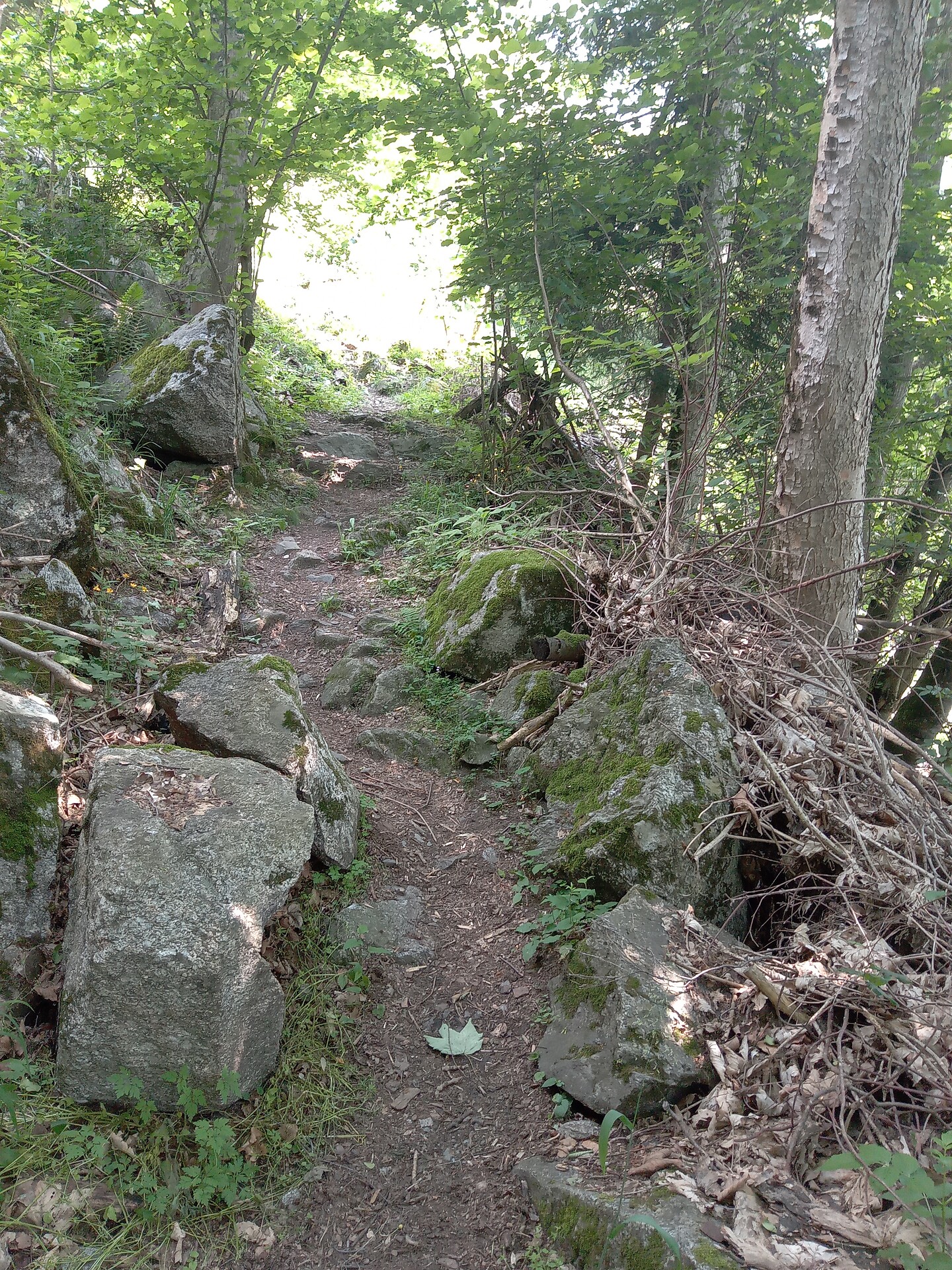 Bad Oberhaus - Meran/Merano and environs - #21 - suedtirol.info