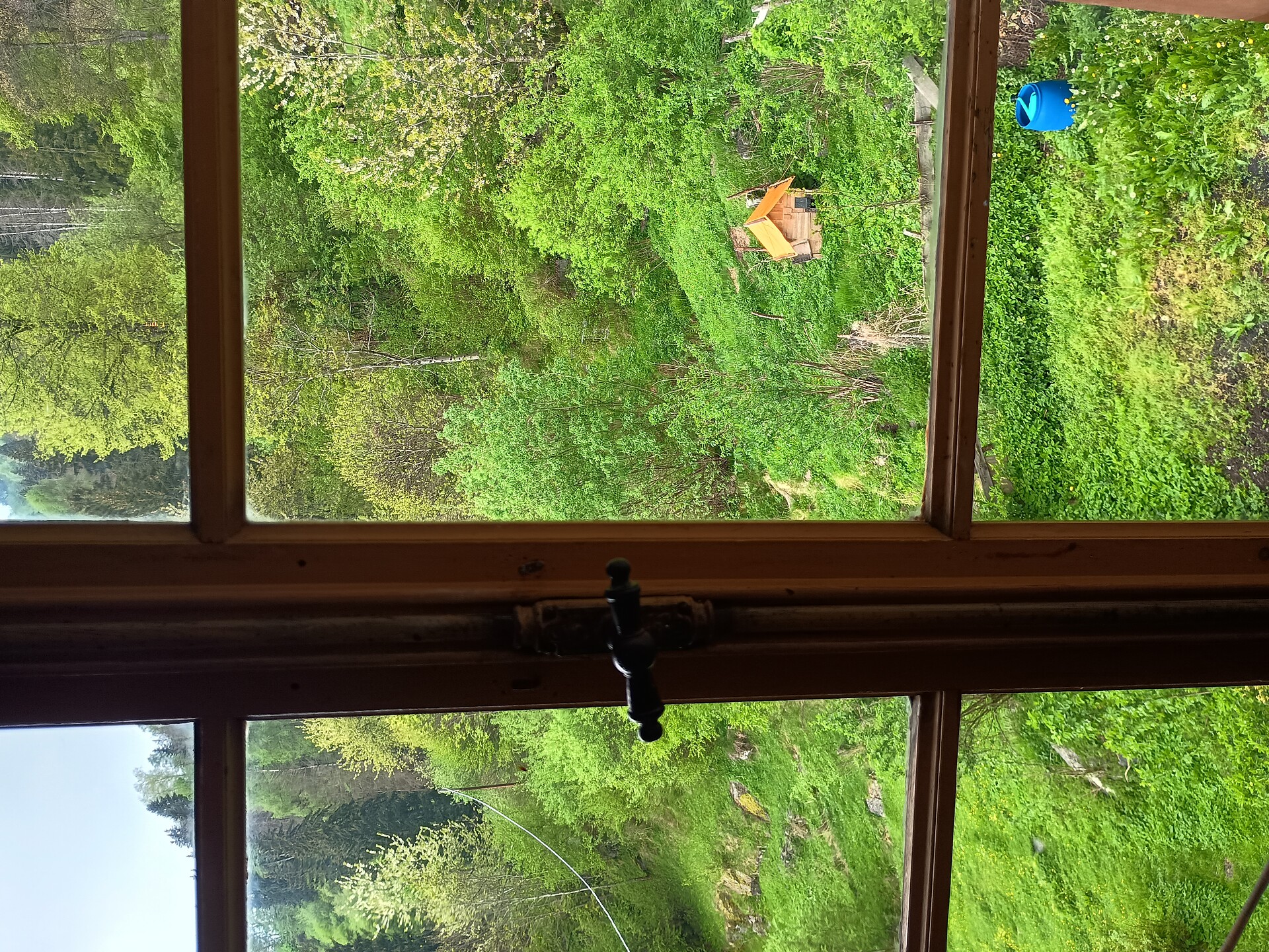 Blick aus dem Westfenster im blauen Zimmer