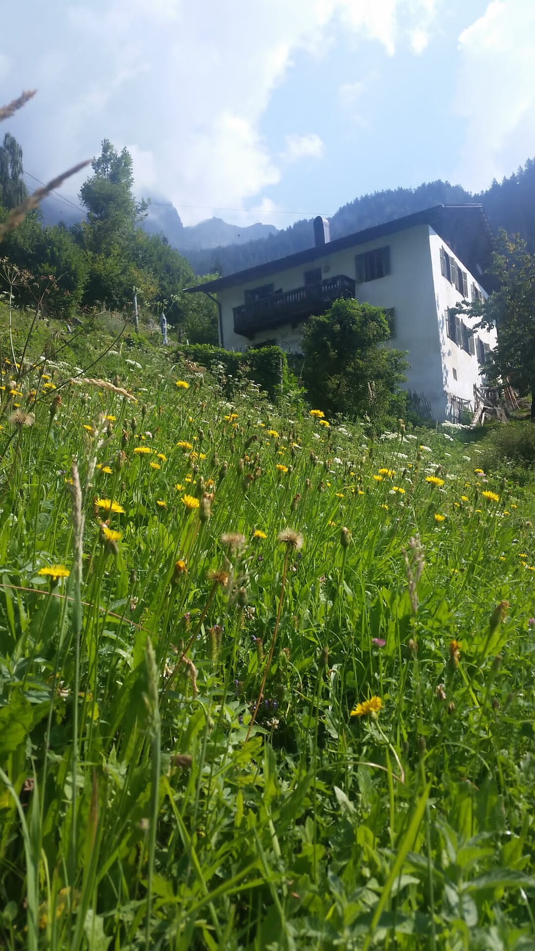 Bad Oberhaus - Meran/Merano and environs - #3 - suedtirol.info