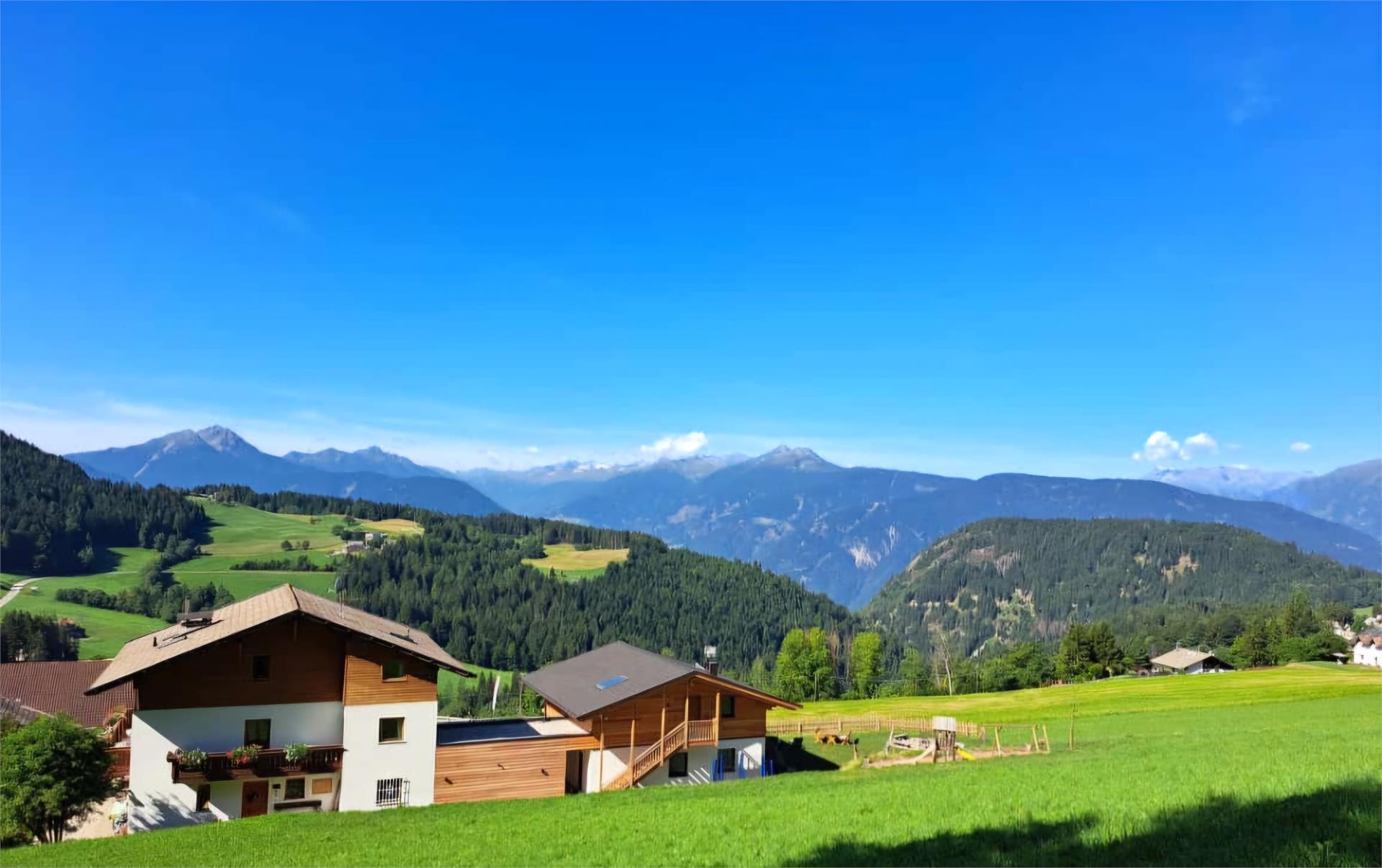 Brunnerhof Hafling 4 suedtirol.info