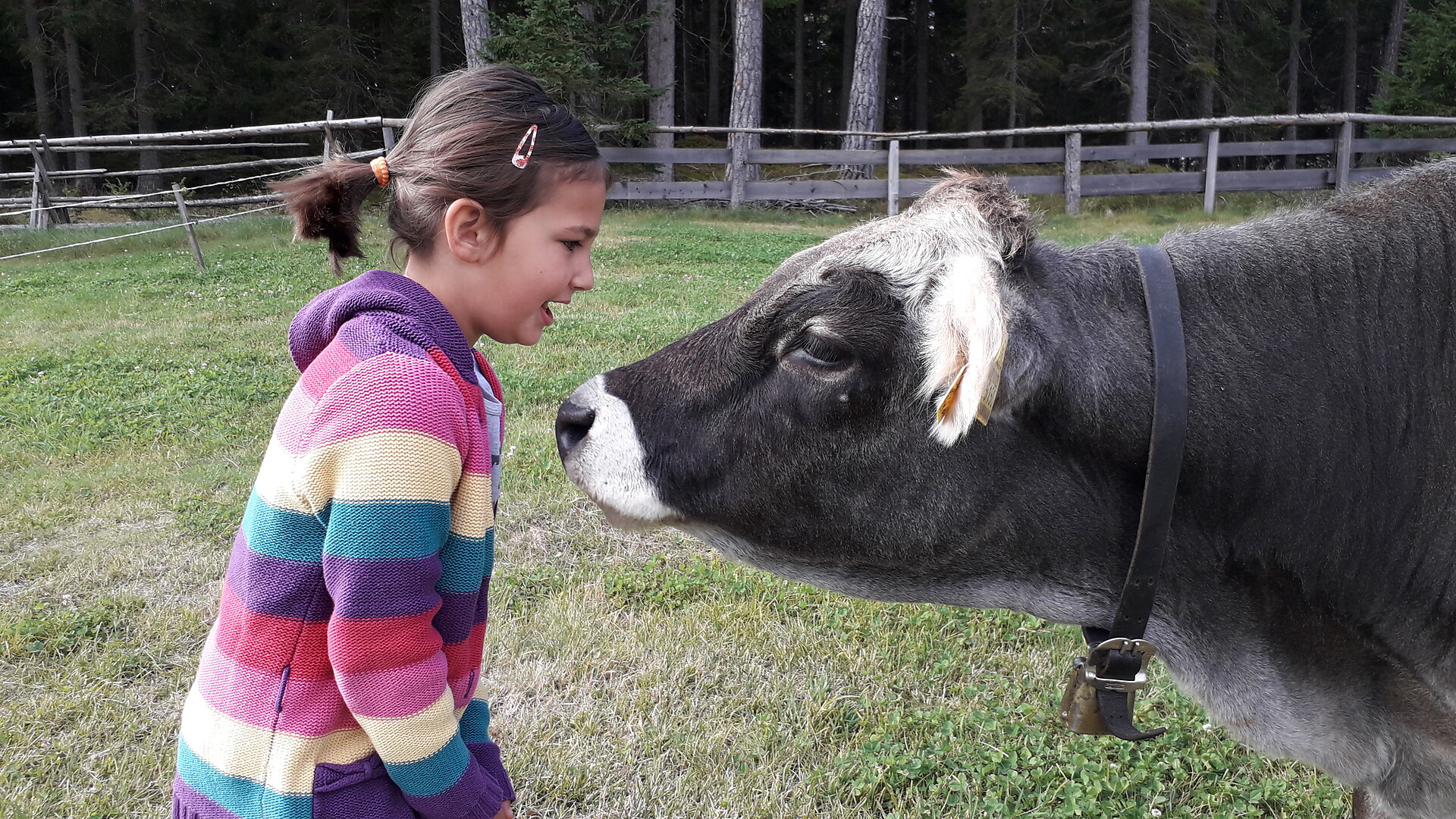 Holidays on the farm