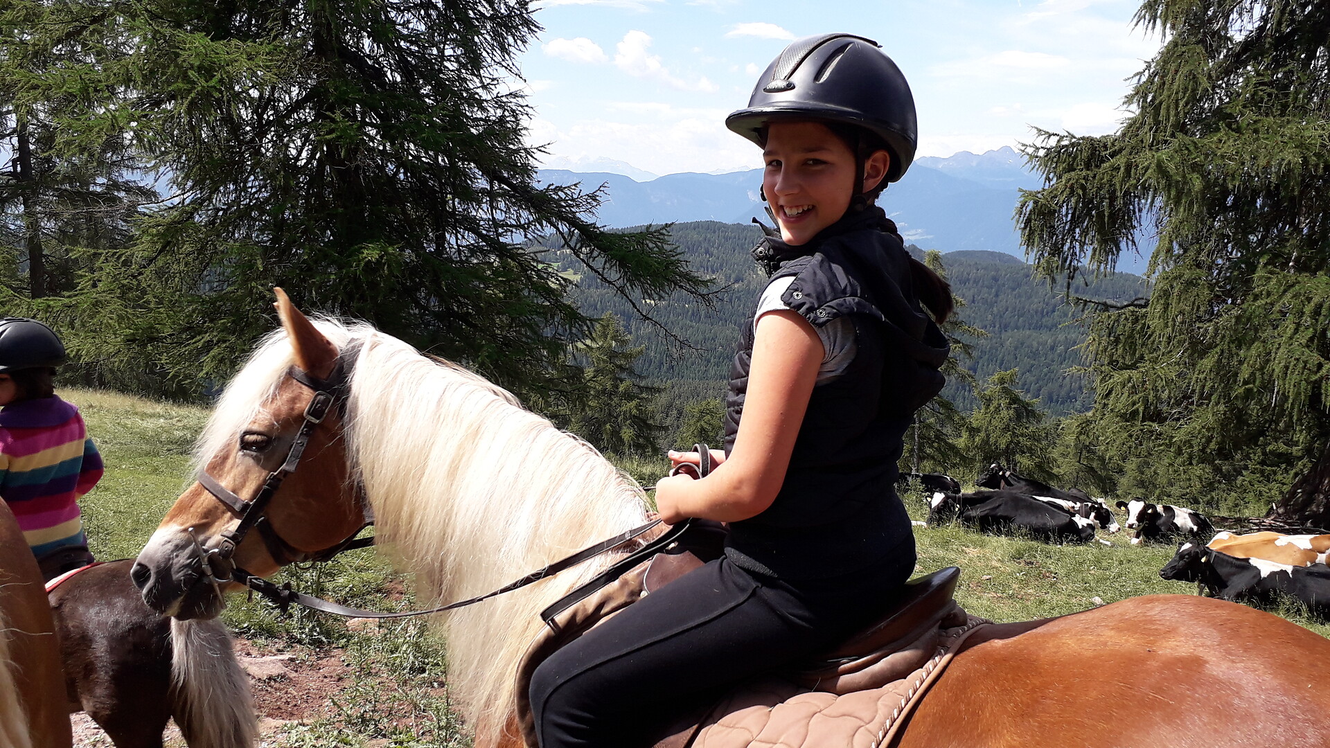 Riding with the Haflinger horses