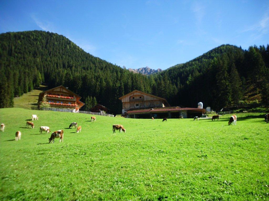 Burgerhof Gsies/Valle di Casies 6 suedtirol.info