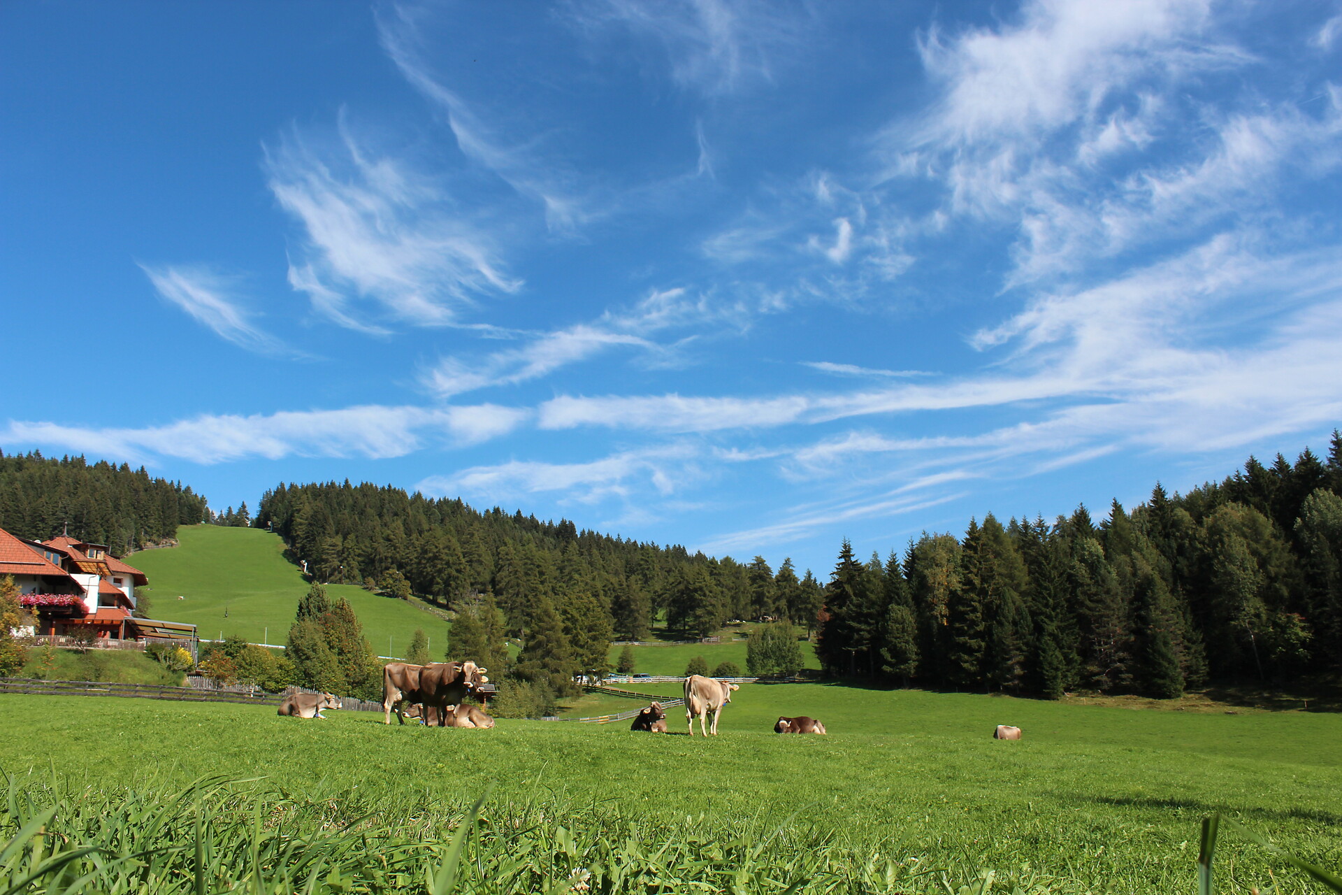 Berghotel Zum Zirm Ritten/Renon 10 suedtirol.info