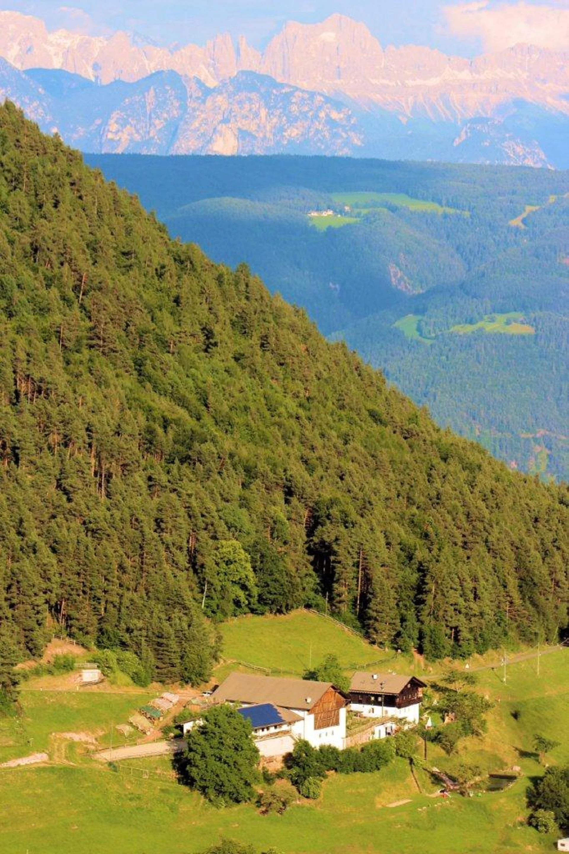Burgerhof San Genesio Atesino 3 suedtirol.info