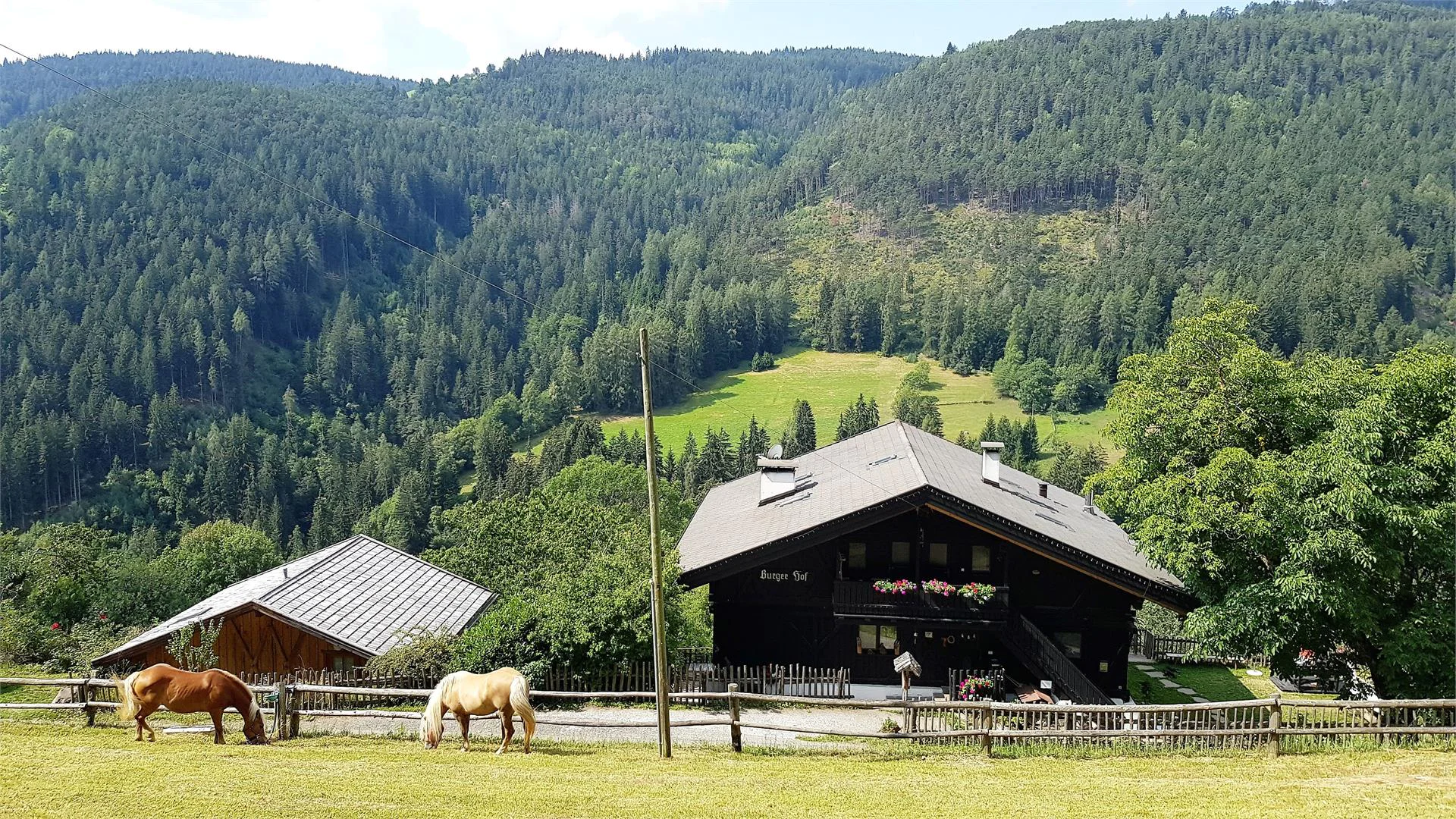 Burgerhof San Genesio Atesino 4 suedtirol.info