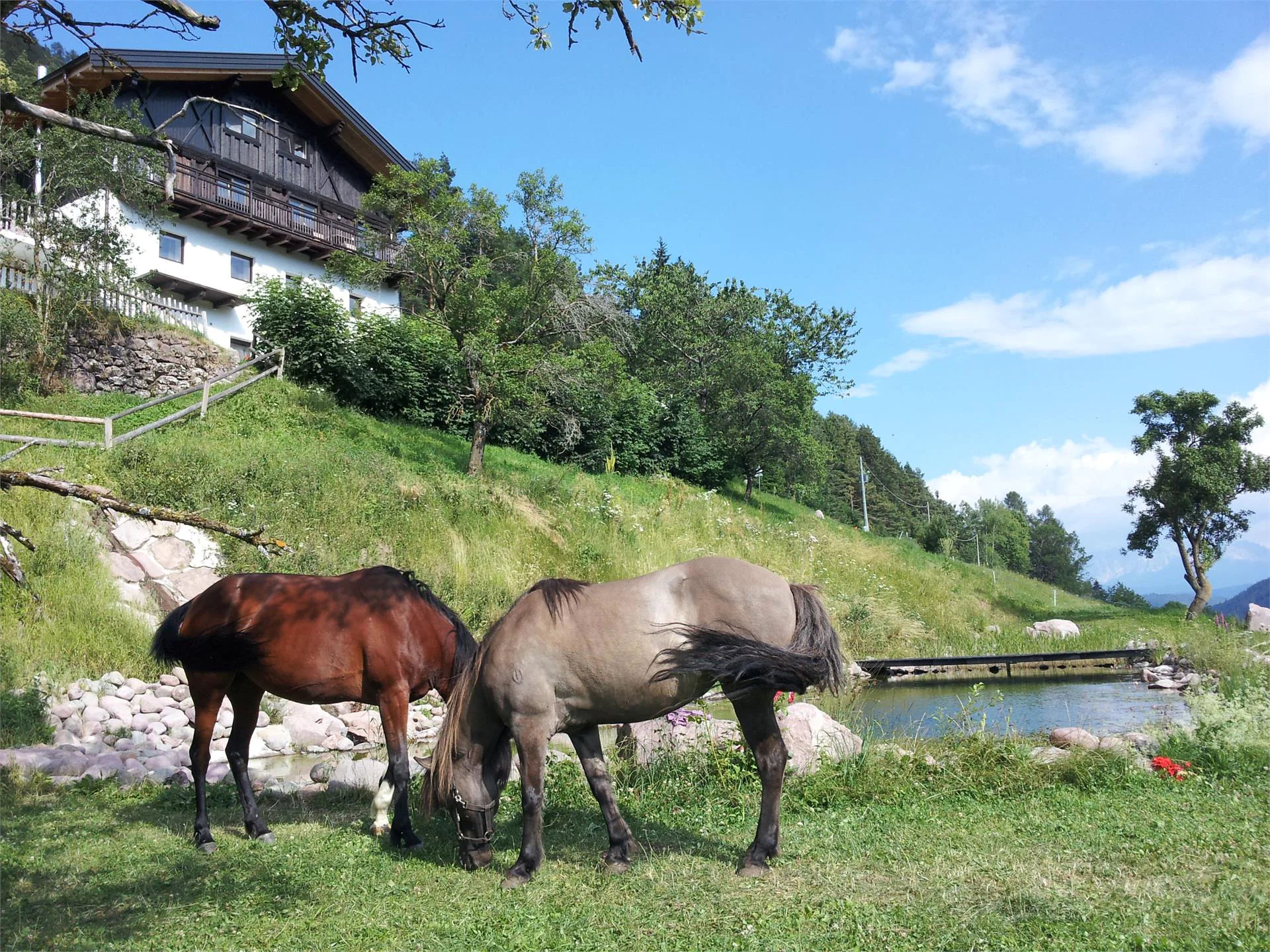 Burgerhof San Genesio Atesino 9 suedtirol.info