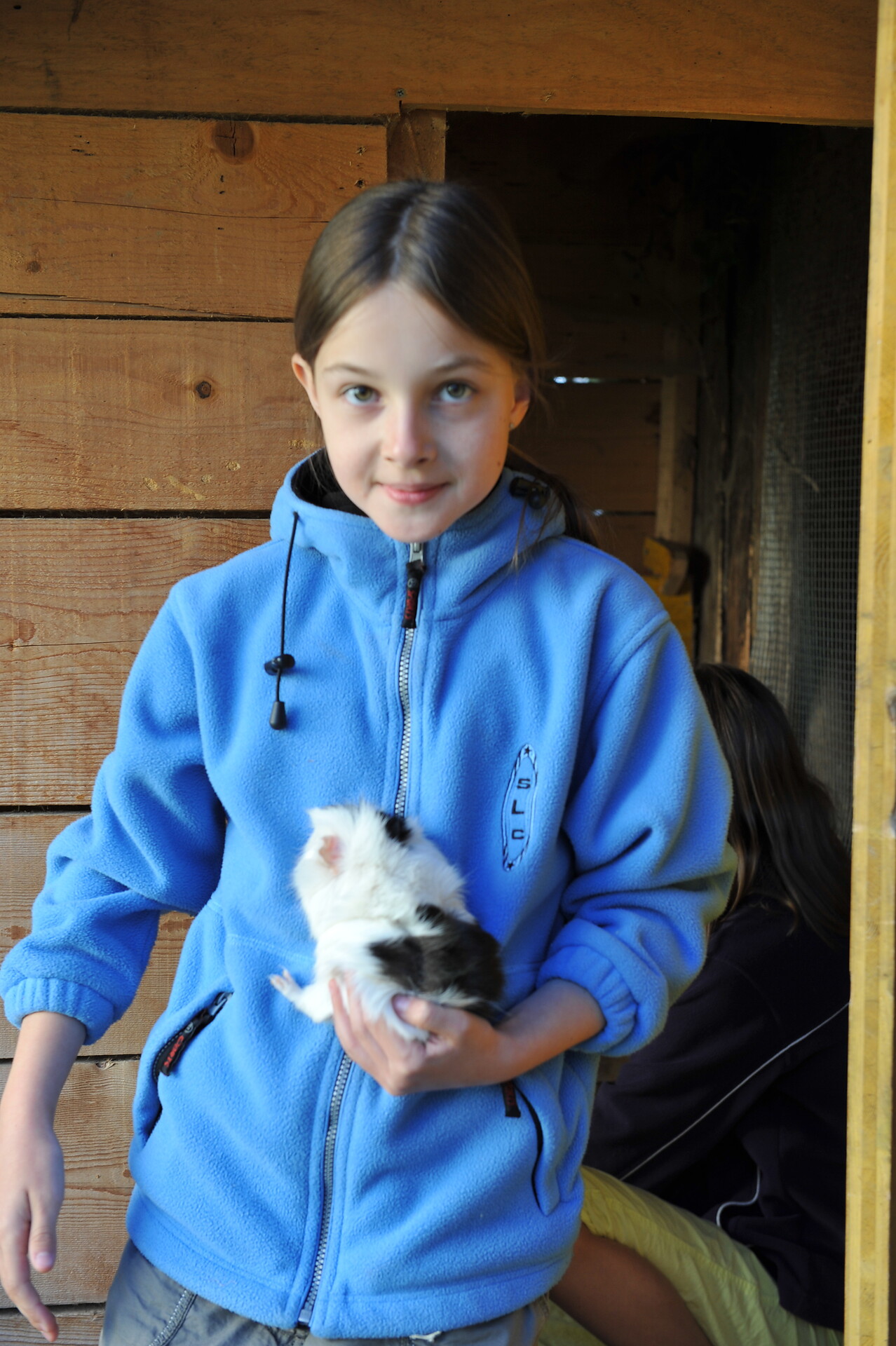Tiere am Hof