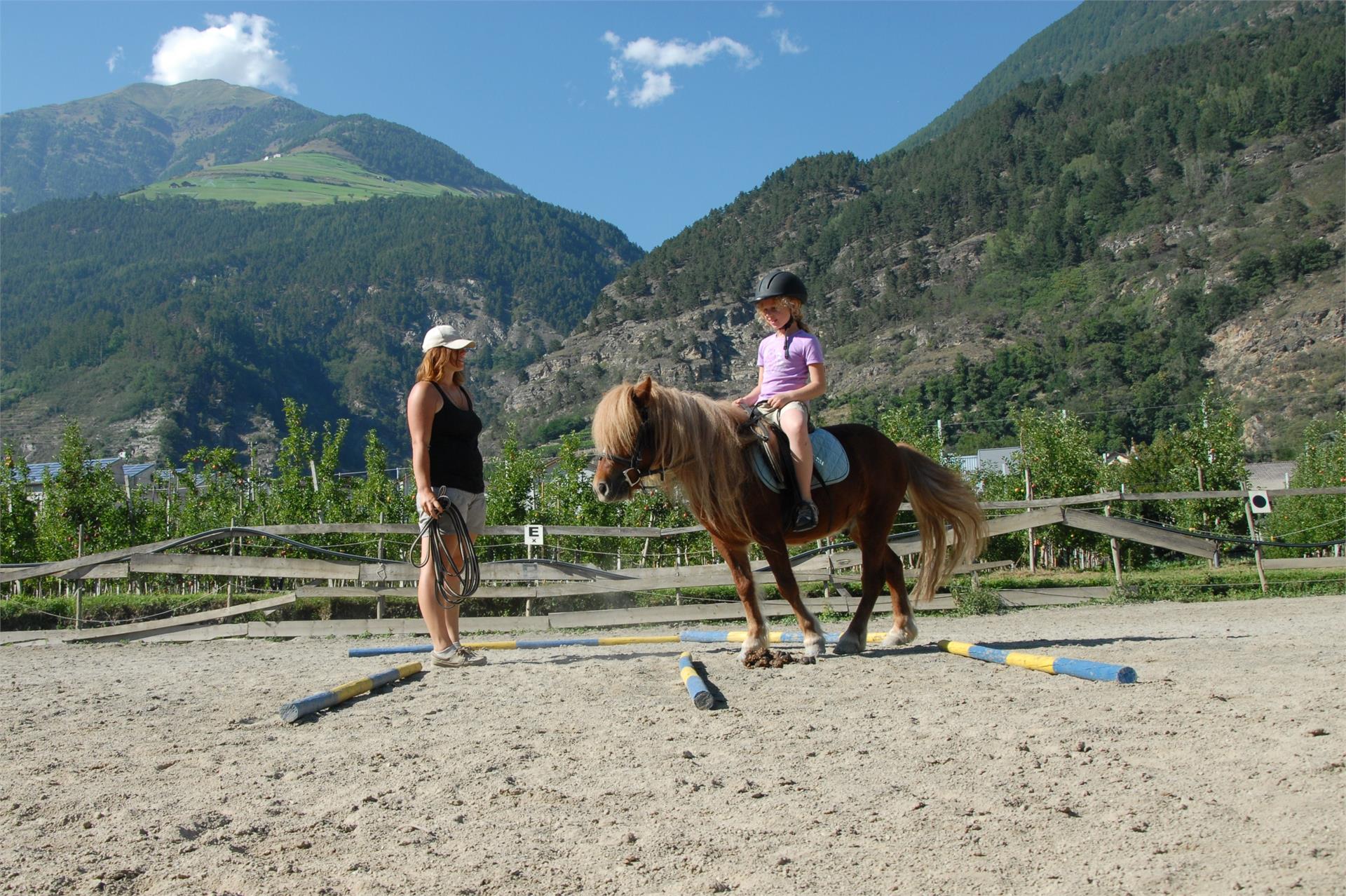 Biohof Vill Schlanders 19 suedtirol.info