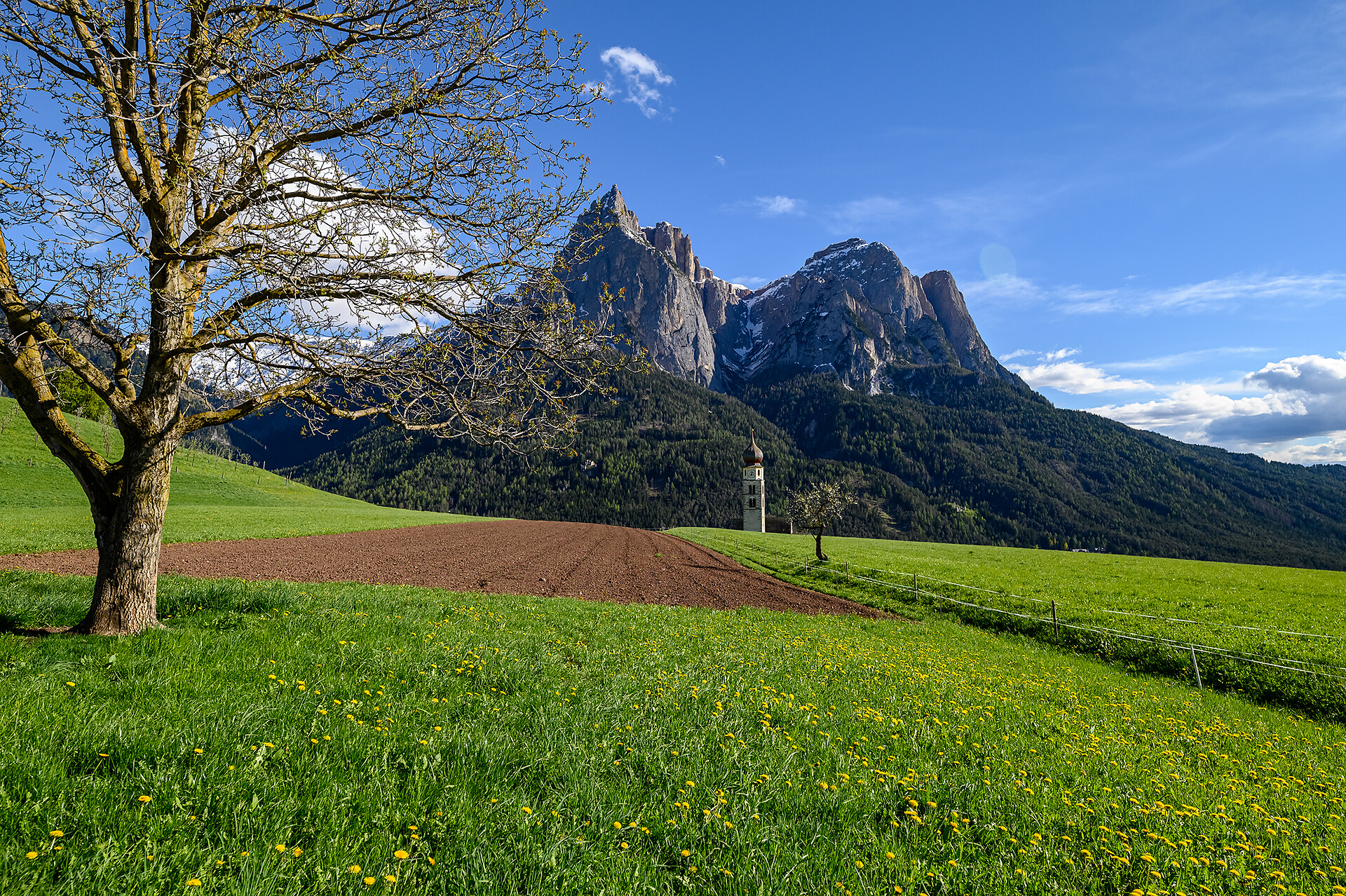 Schlern
