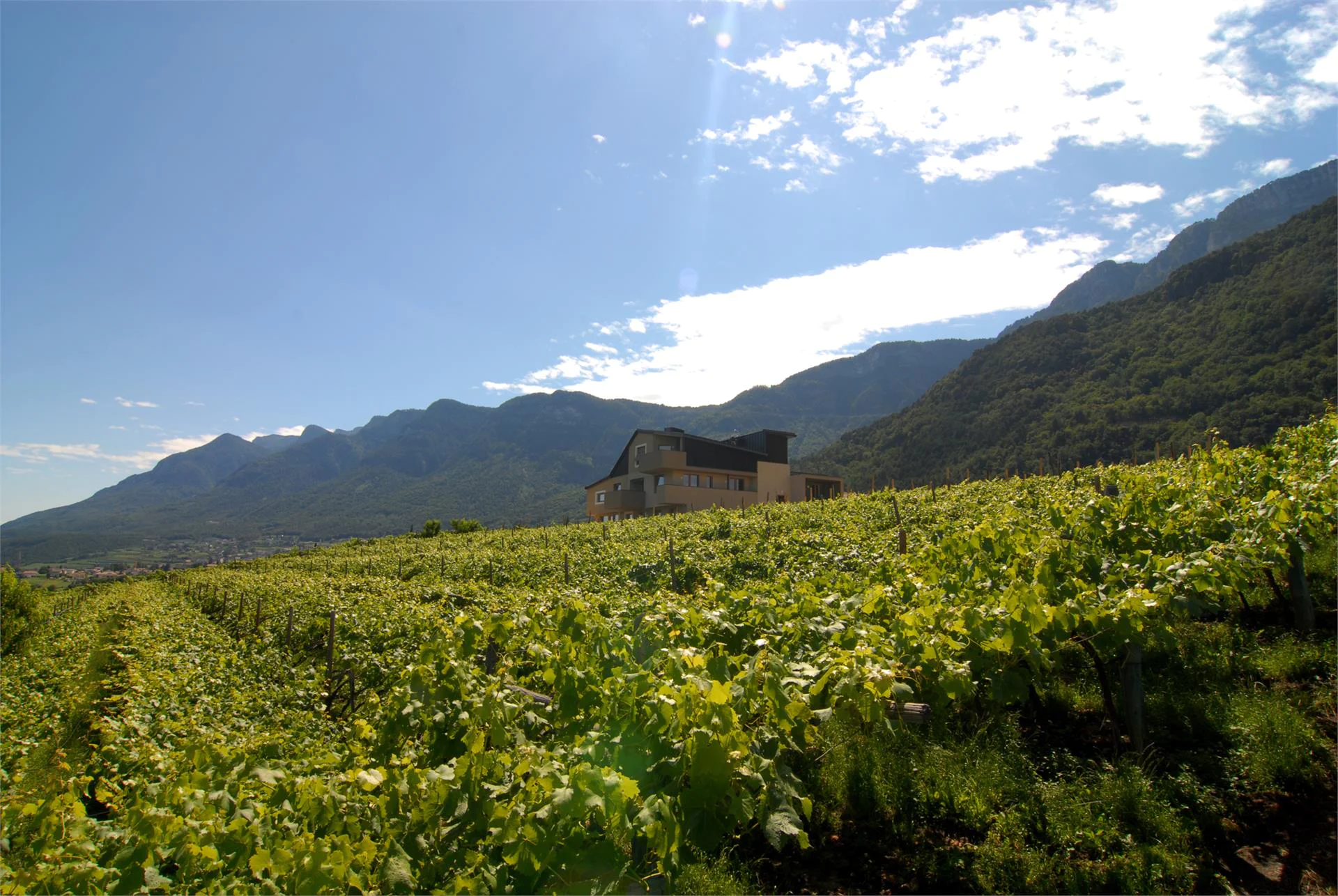 St. Quirinus - bio agriturismo Caldaro sulla Strada del Vino 7 suedtirol.info