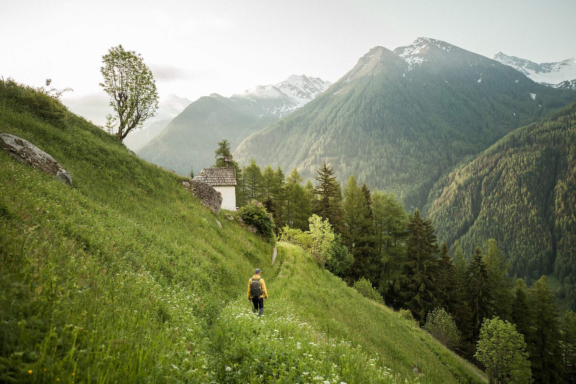 Natur
