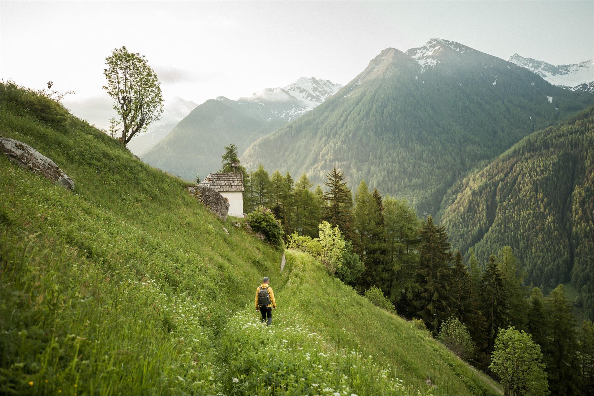 Bühelwirt Hotel Valle Aurina 17 suedtirol.info