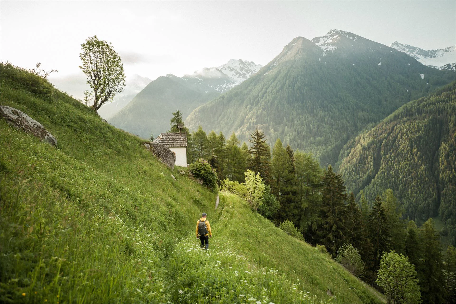 Bühelwirt Hotel Ahrntal/Valle Aurina 17 suedtirol.info