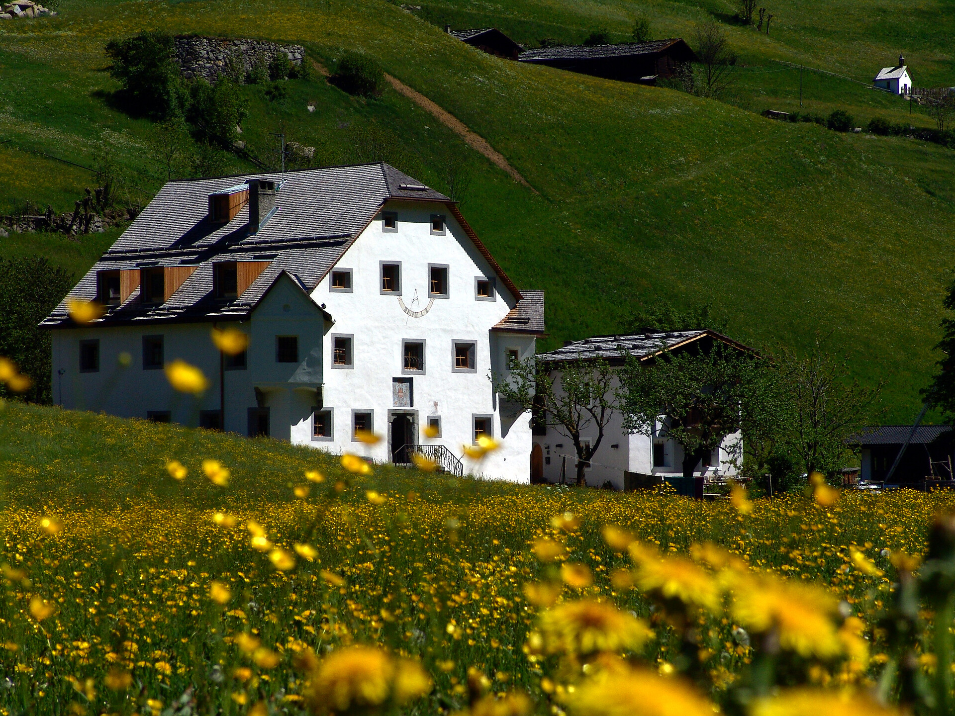 Primavera