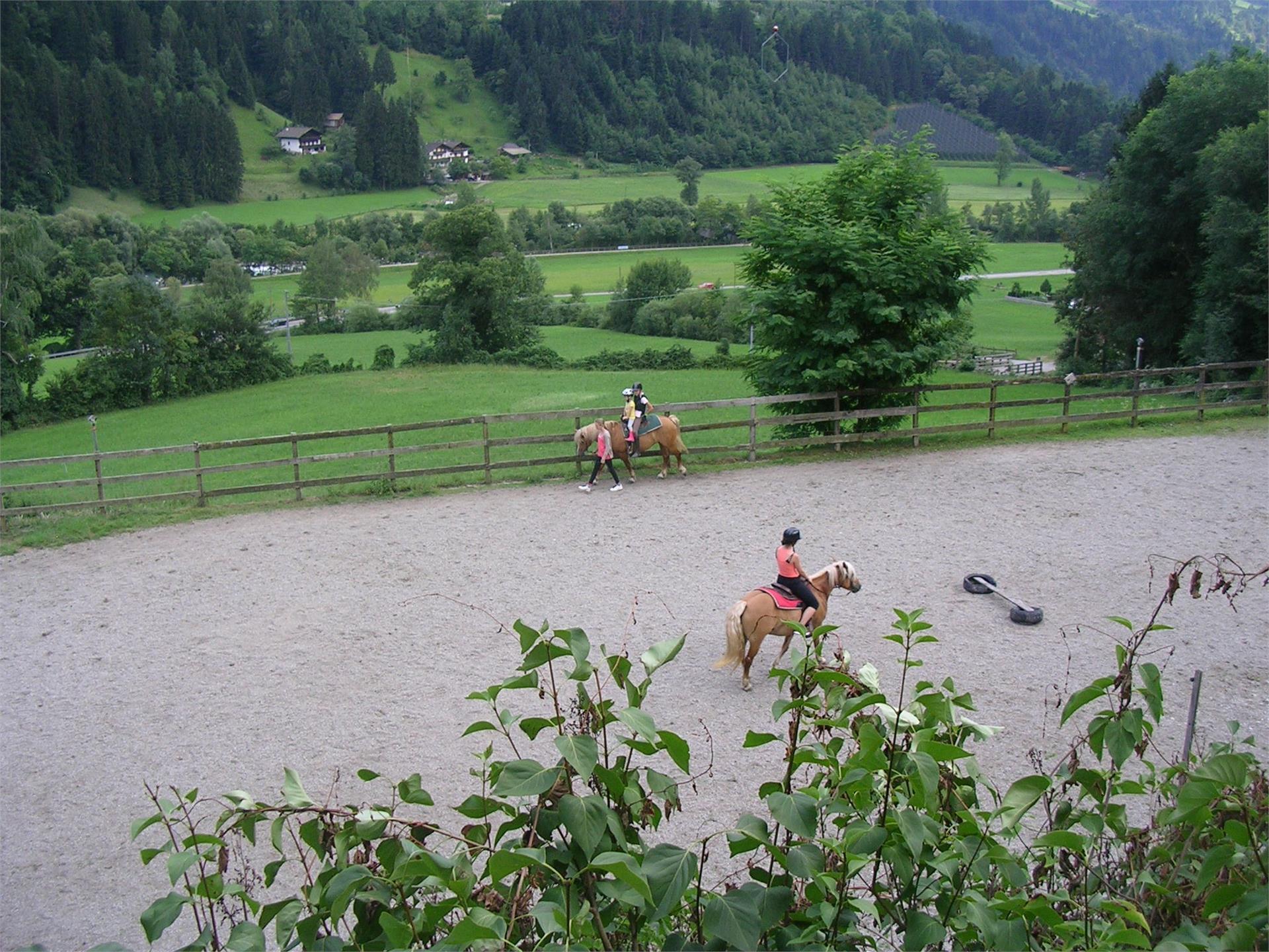 Agriturismo Schildhof Granstein San Martino in Passiria 3 suedtirol.info