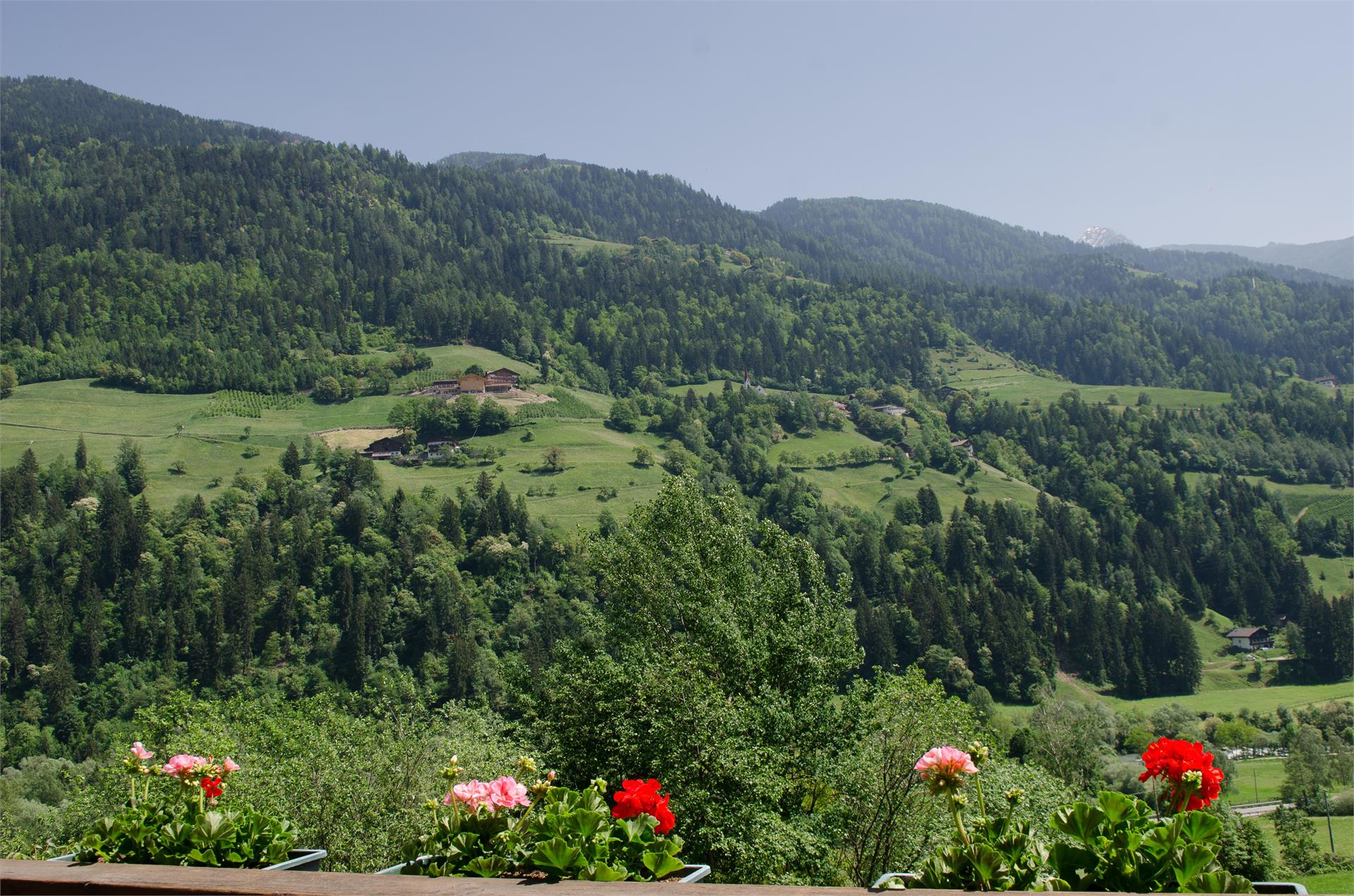 Agriturismo Schildhof Granstein San Martino in Passiria 15 suedtirol.info