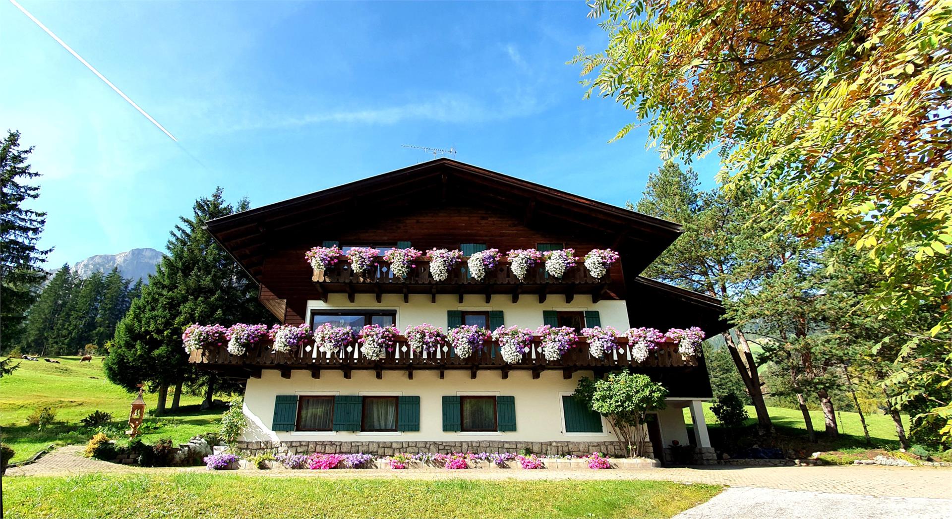 b&b Aiding Badia 1 suedtirol.info