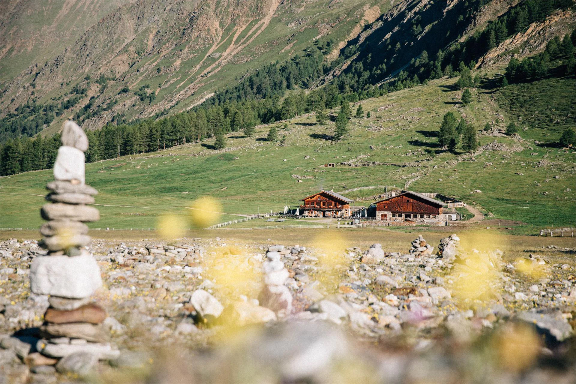 Malga Eishof Senales 1 suedtirol.info