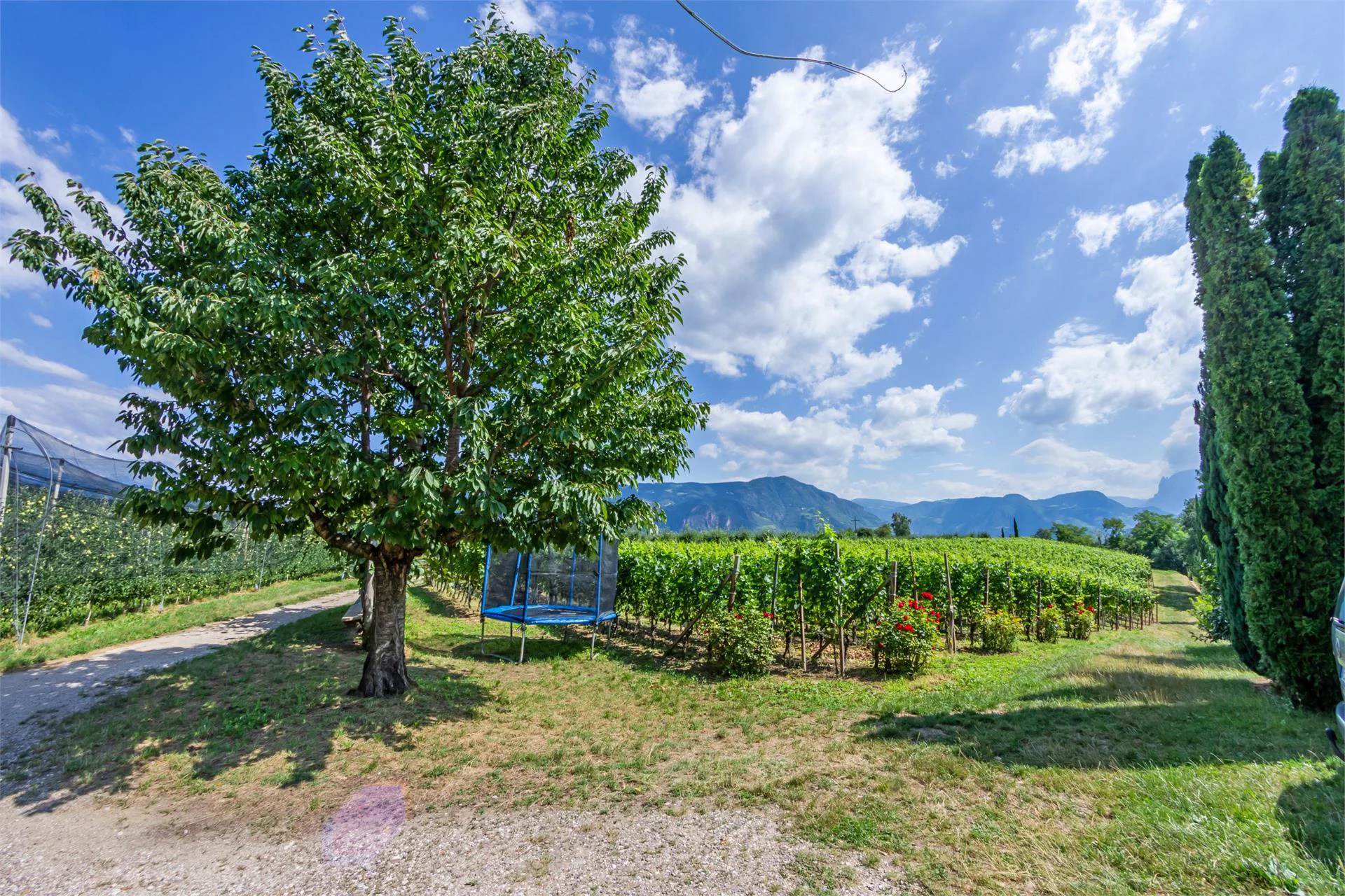 Blumenhof Appiano sulla Strada del Vino 13 suedtirol.info