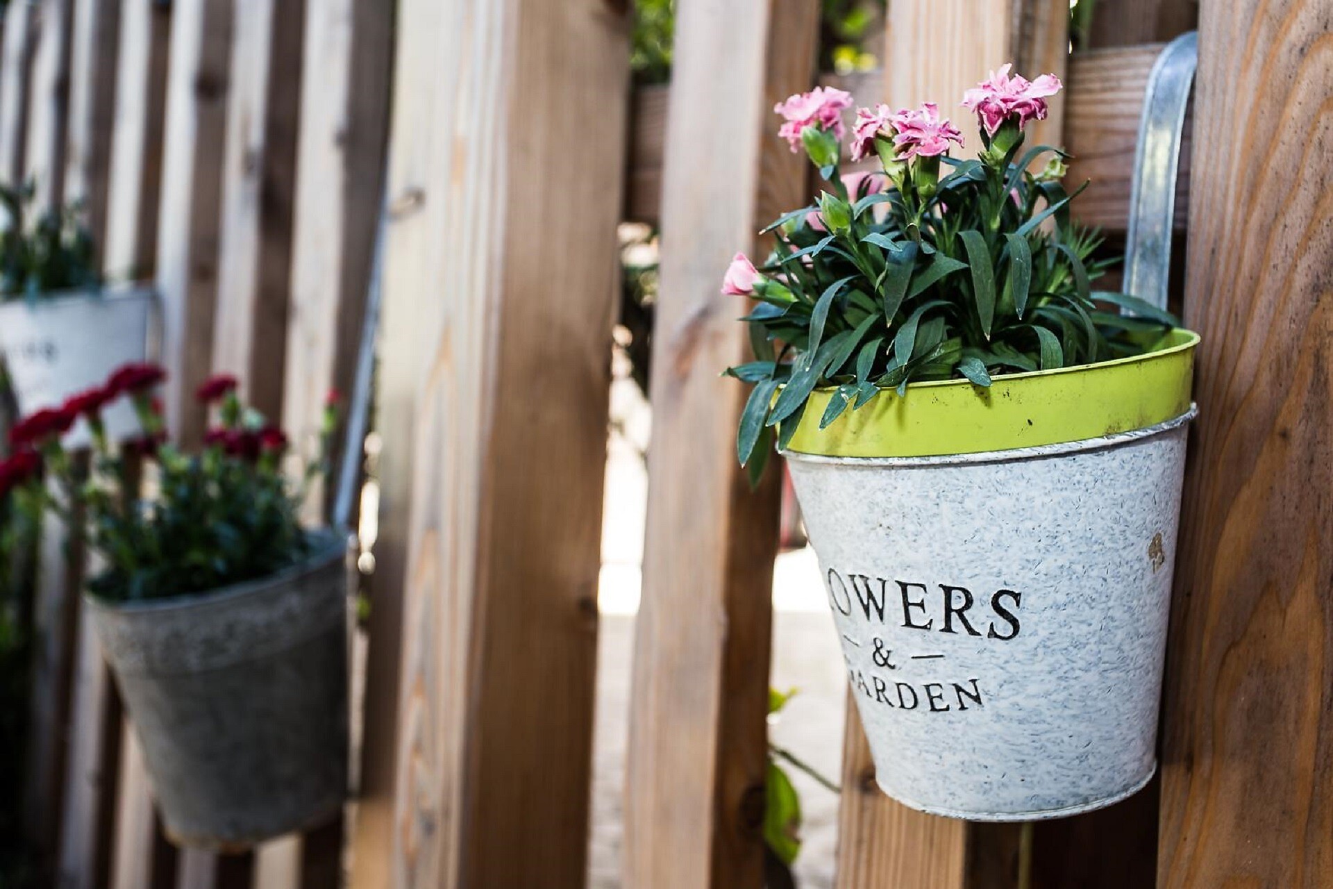 Blumen