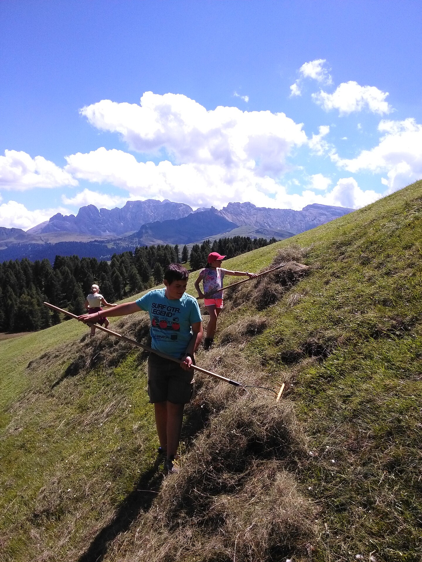 Bei der Heuarbeit auf der Seiser Alm