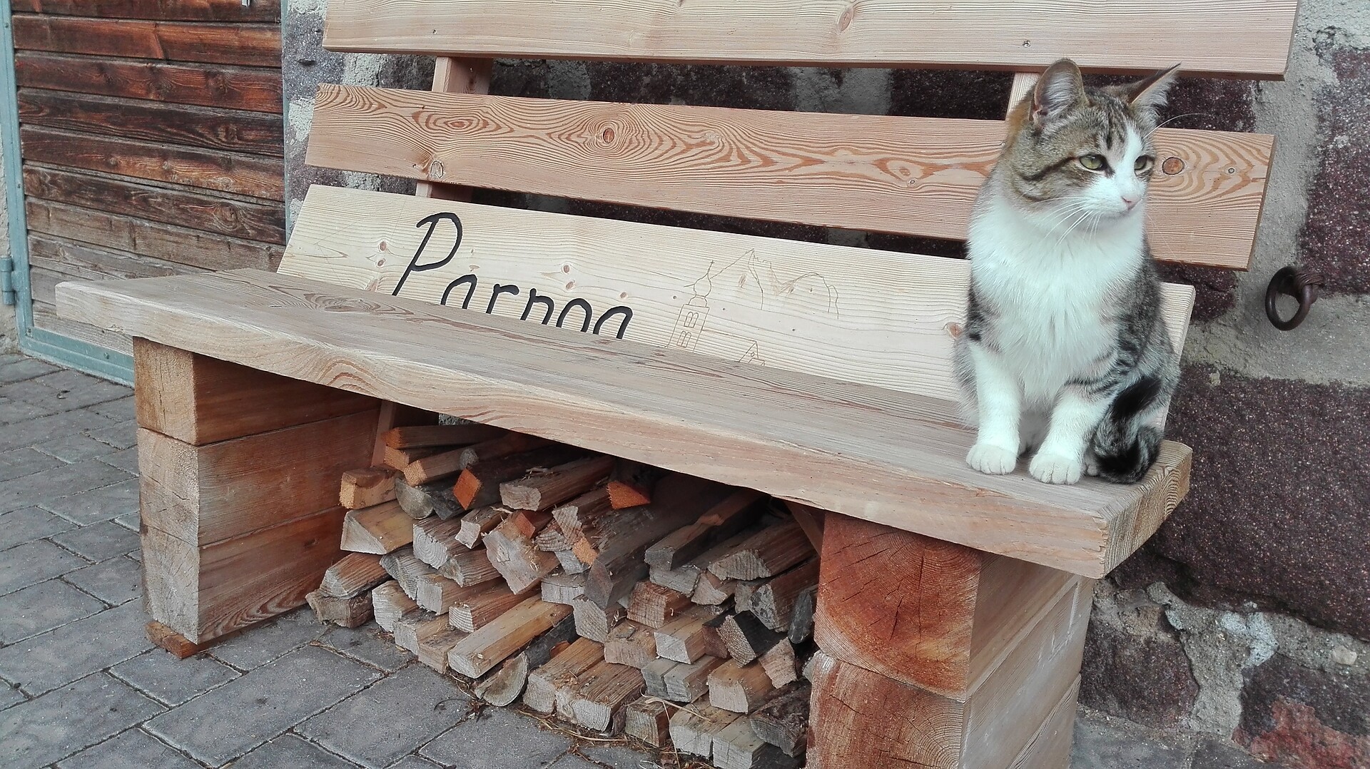 Unserer Katze
