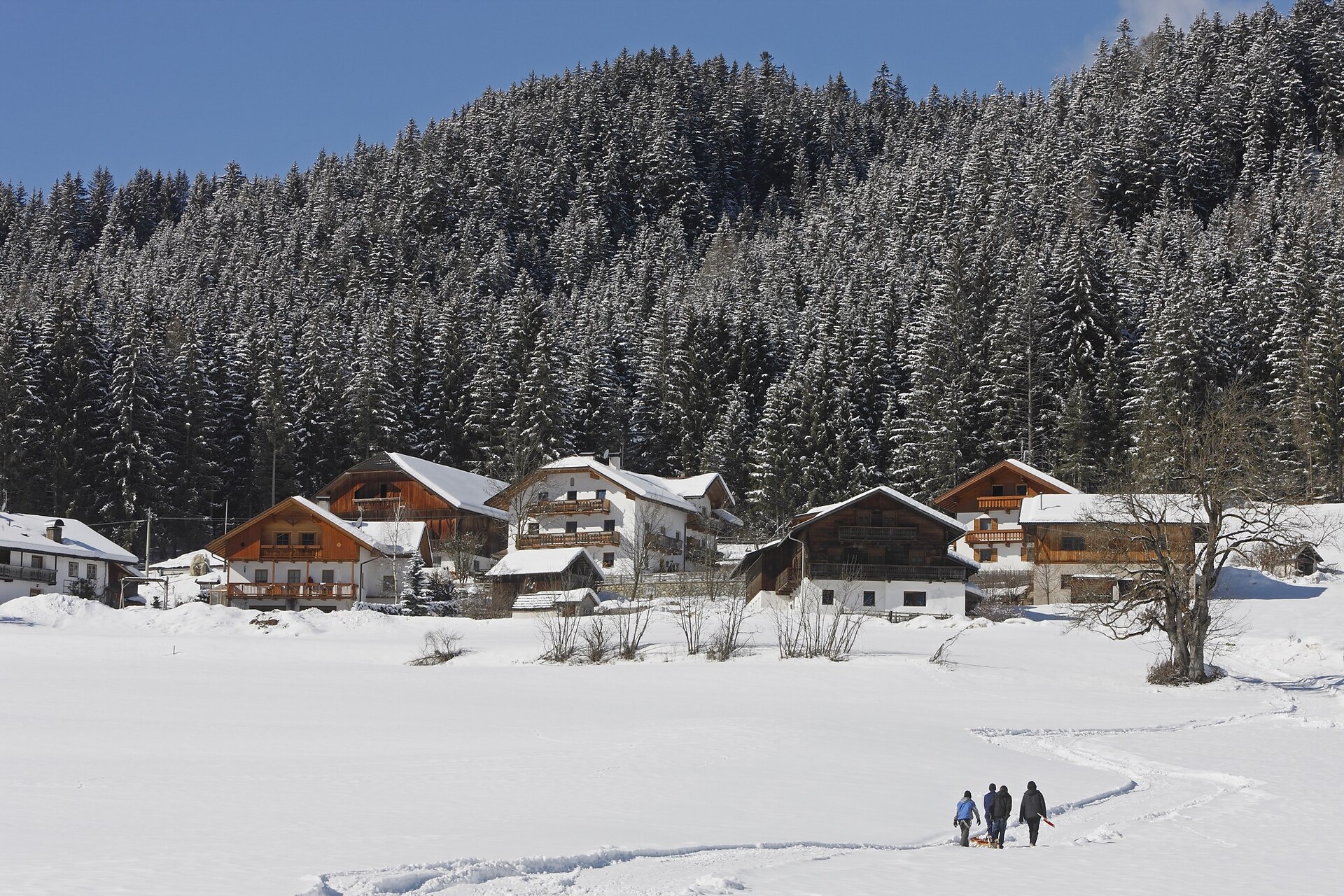 Binterhof Valle di Casies 6 suedtirol.info