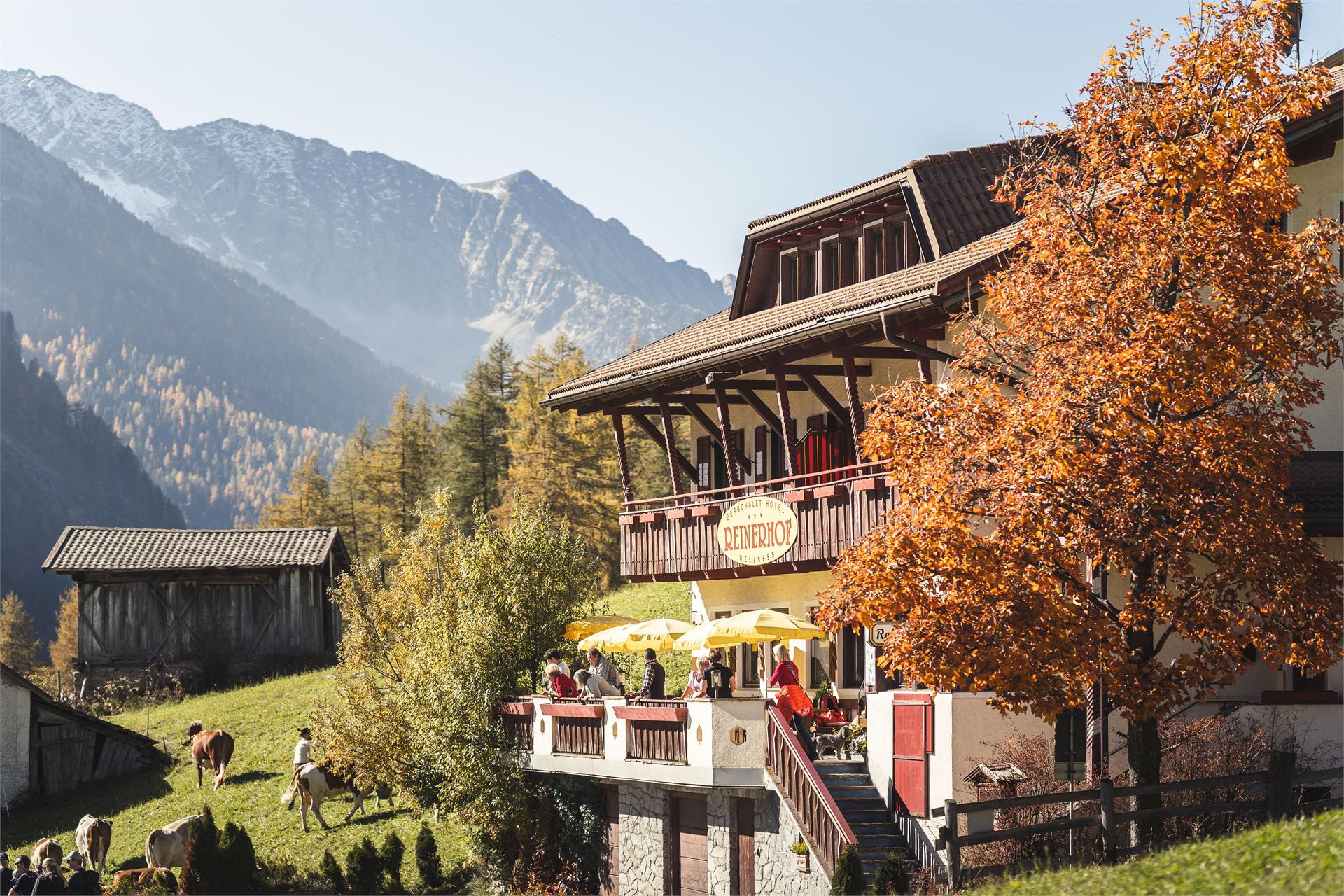 Bergchalet Hotel Reinerhof Sand in Taufers/Campo Tures 1 suedtirol.info