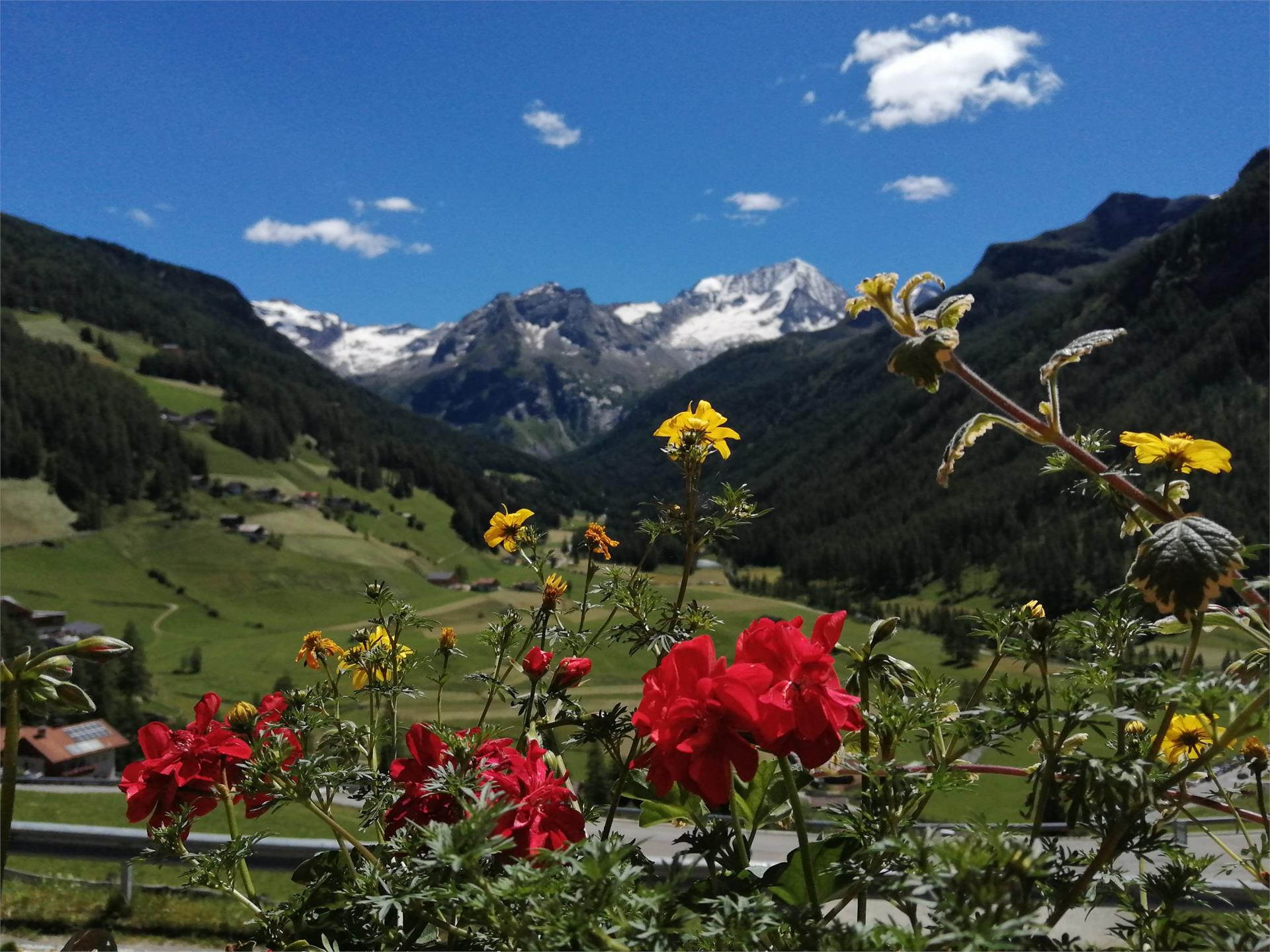 Bergchalet Hotel Reinerhof Sand in Taufers/Campo Tures 29 suedtirol.info
