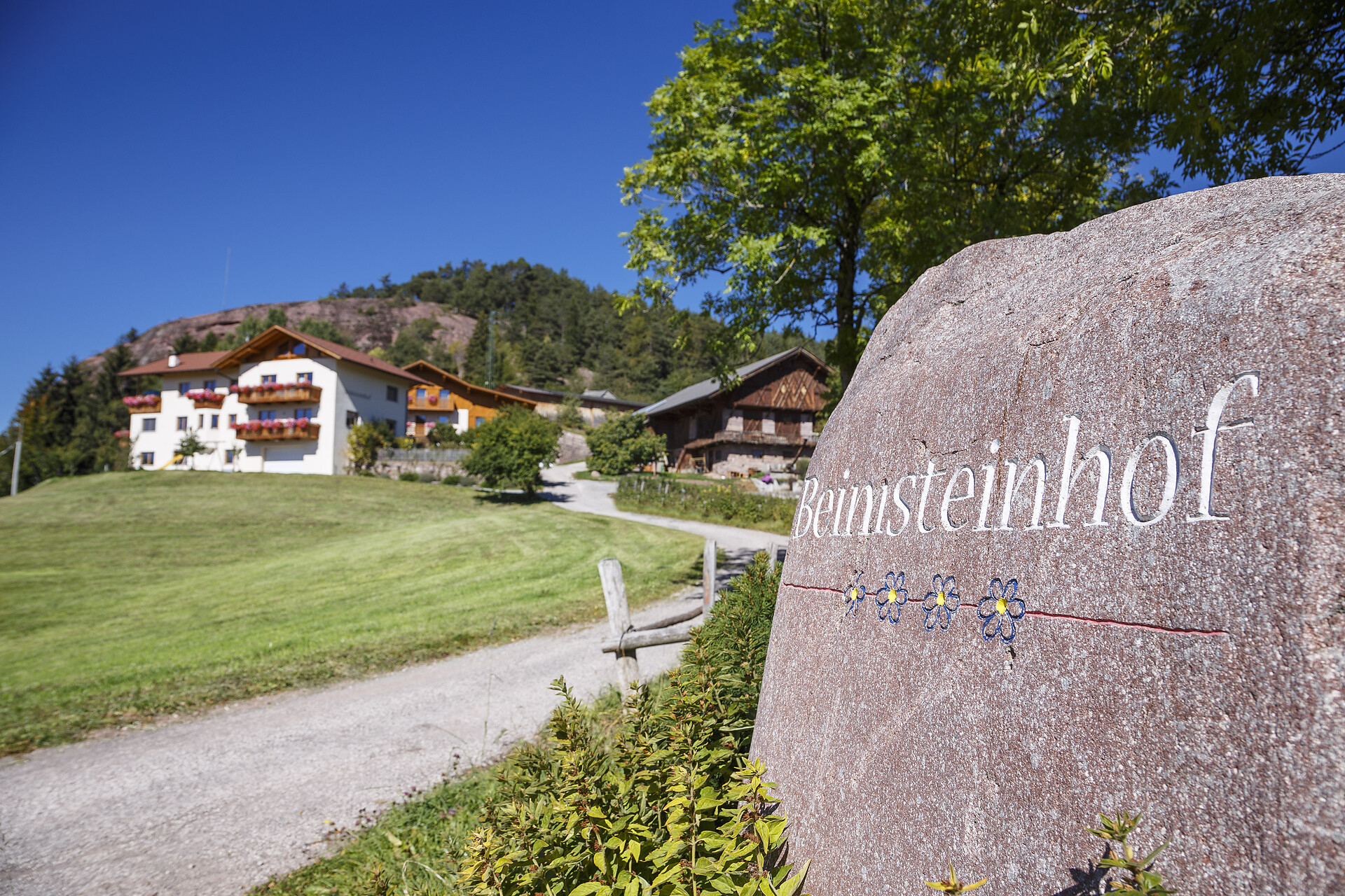 Welcome at the Beimsteinhof farm