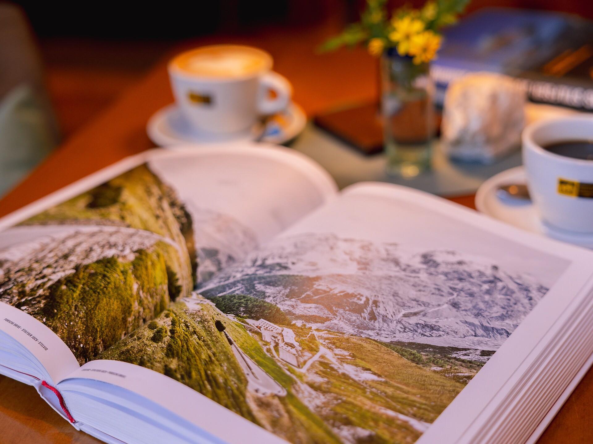 Caffè e curve sul Passo dello Stelvio