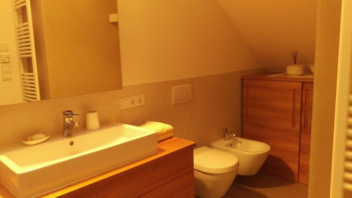 Bagno con doccia a pioggia e bidet