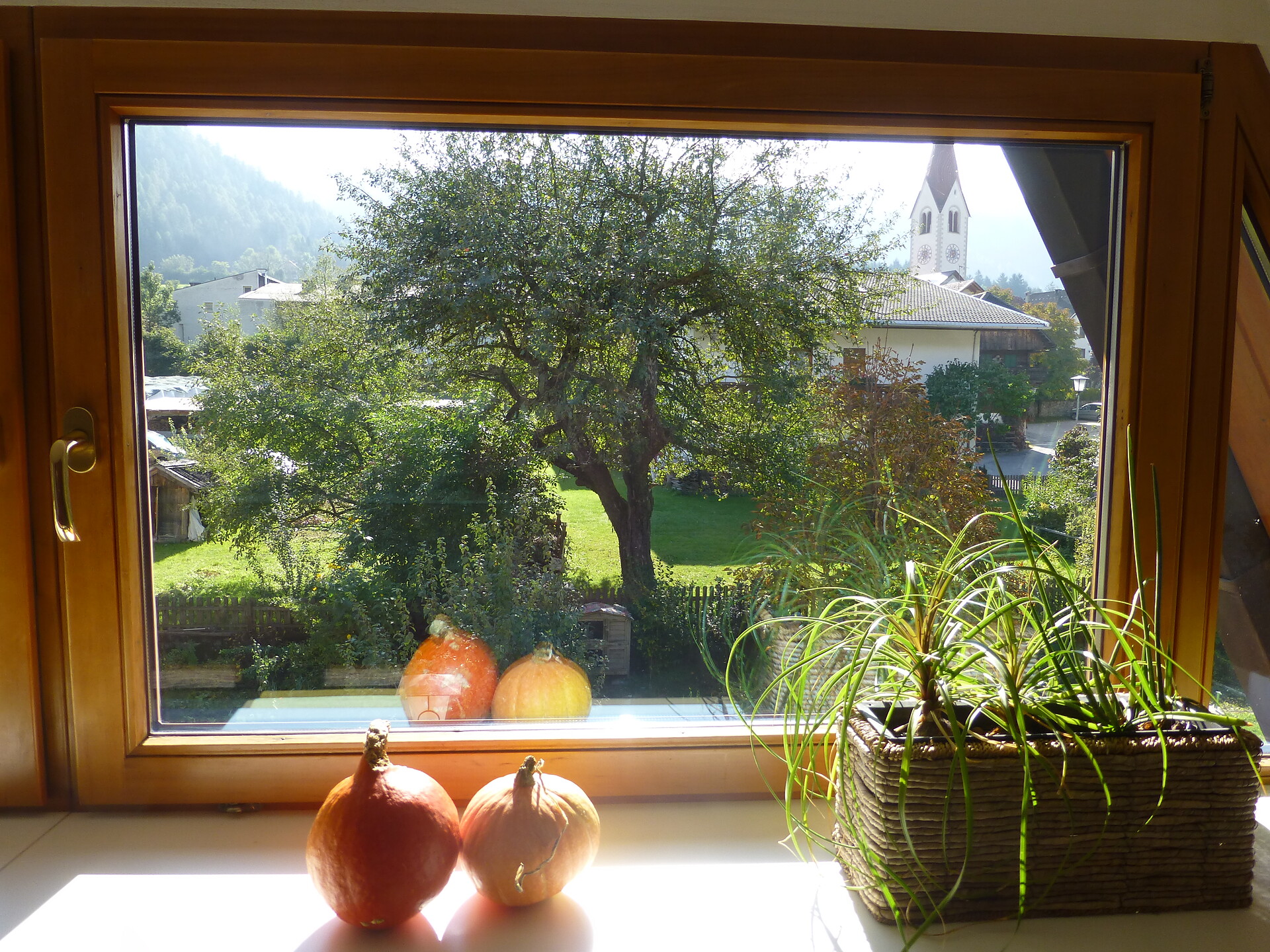 Vista dalla cucina