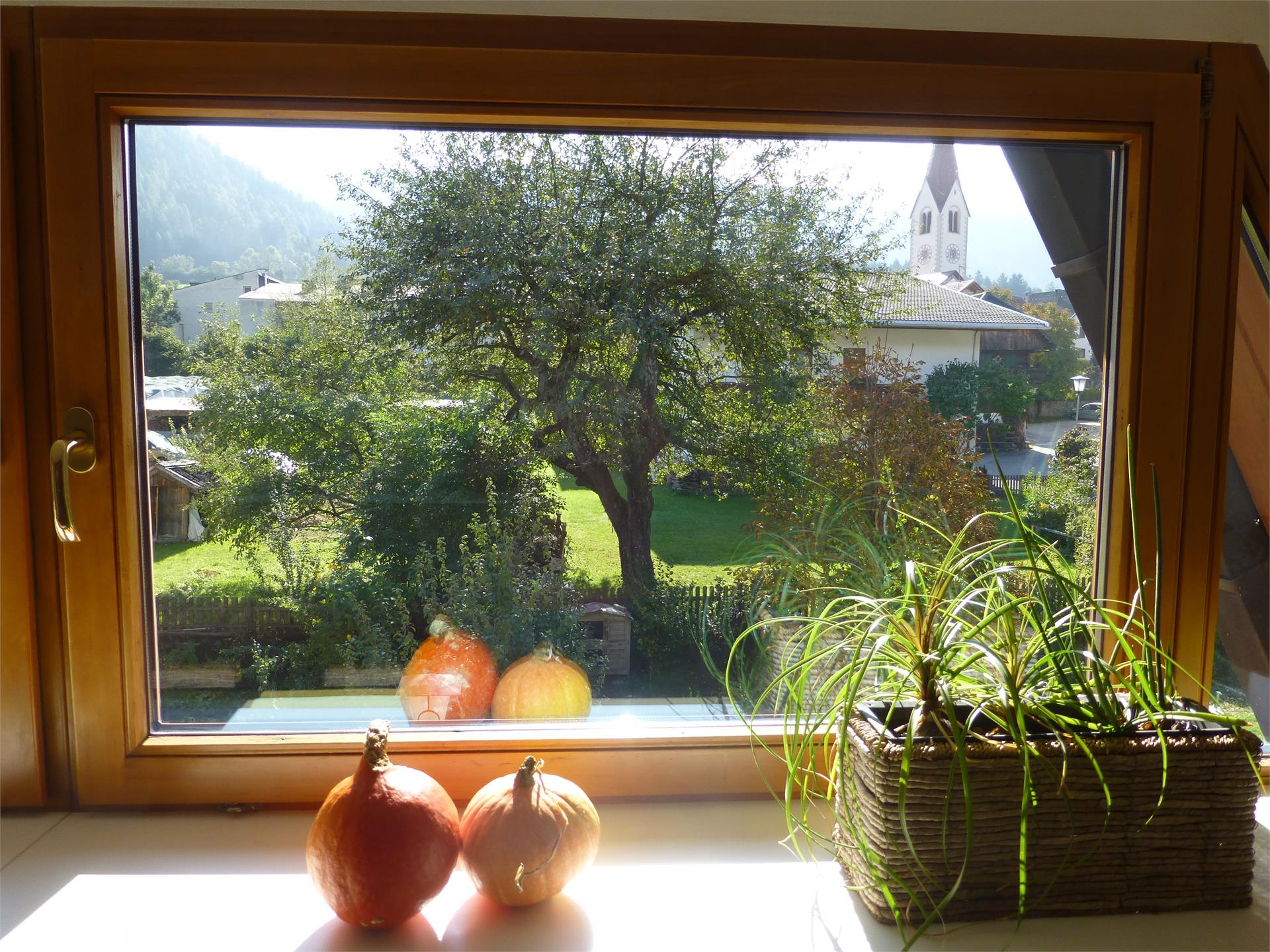 Bio Top Appartements Rasun Anterselva 6 suedtirol.info