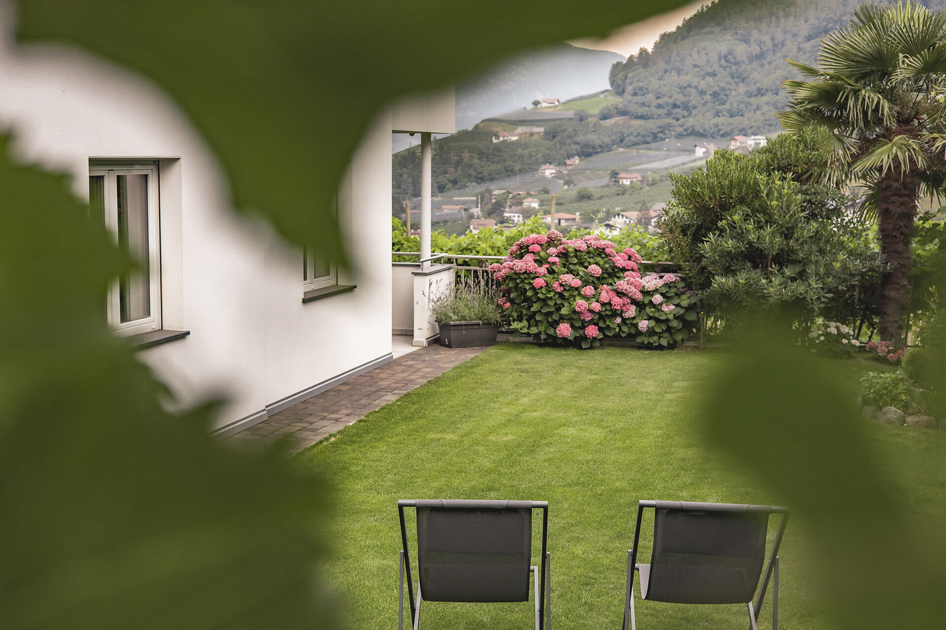 giardino