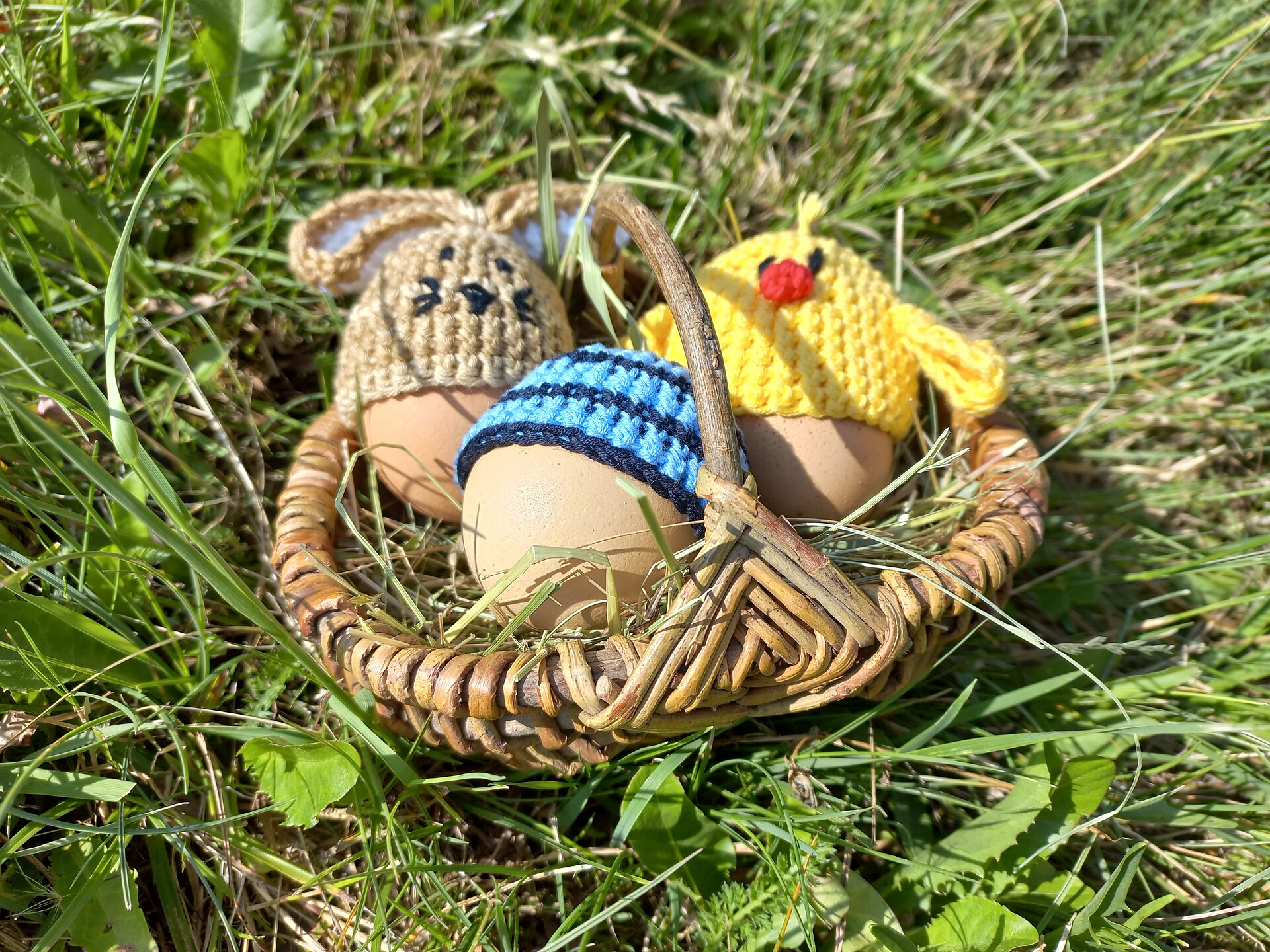 ouve delle nostre galline