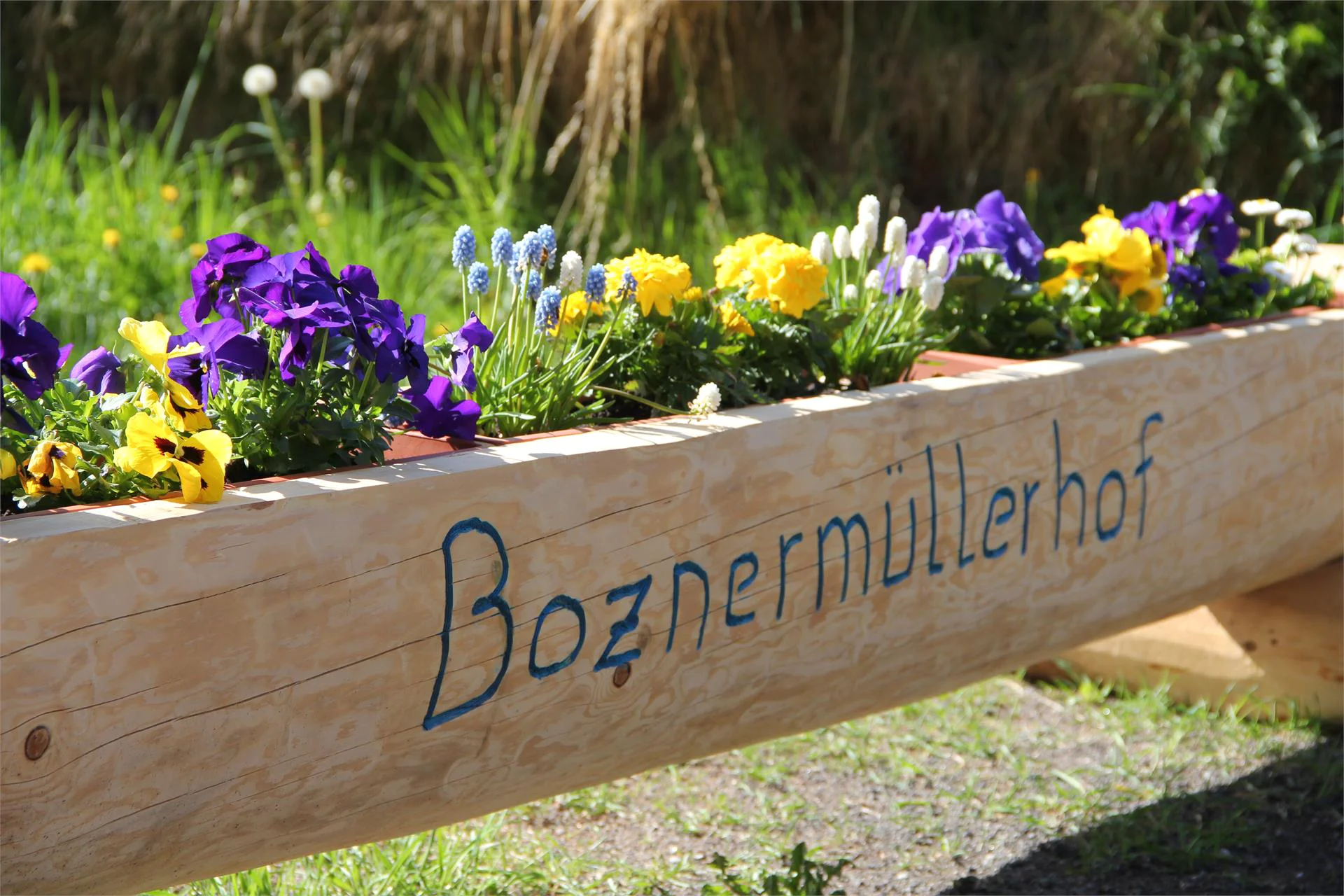 Boznermüllerhof Verano 5 suedtirol.info