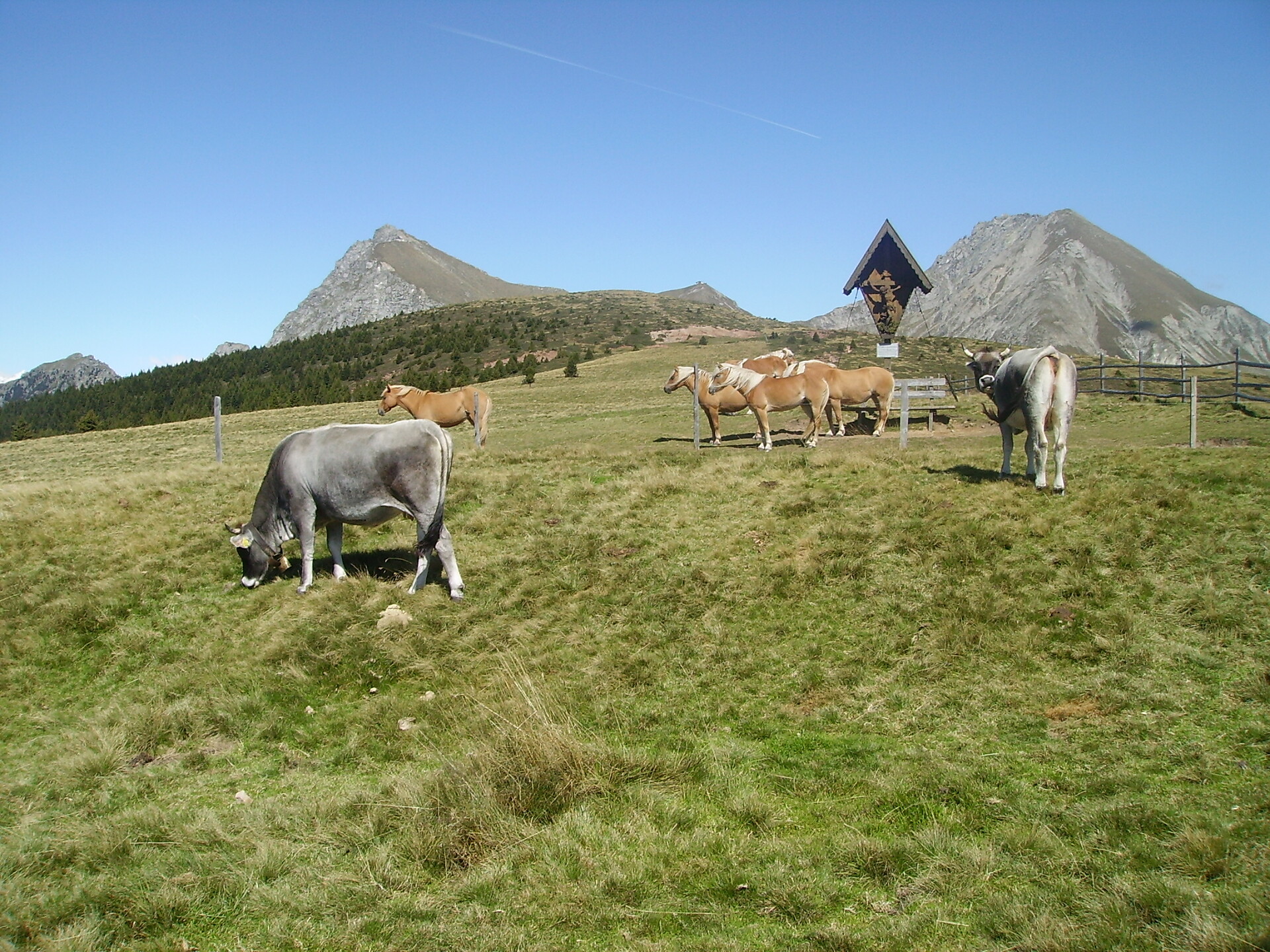 Vacanze ecursionistice in agriturismo