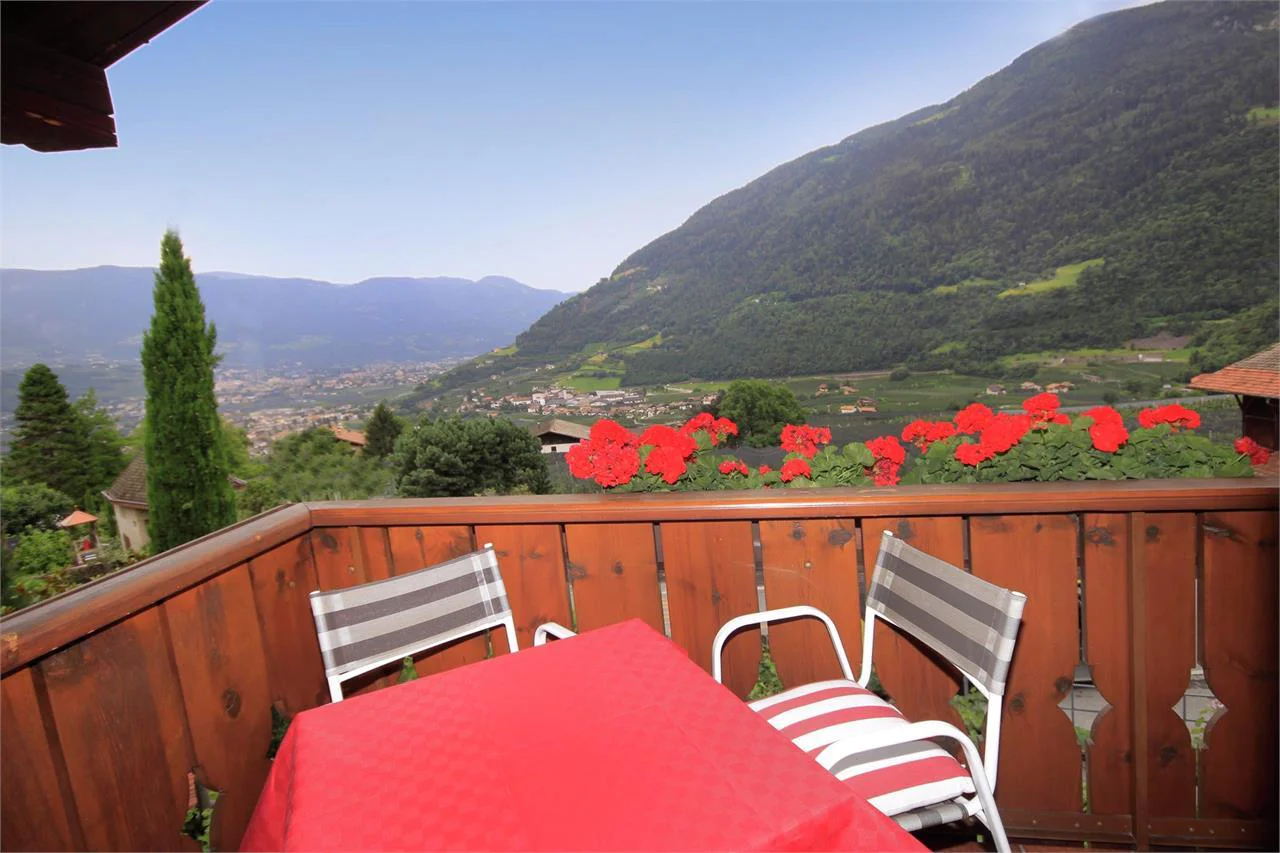 Bauernhof Gasserhof Algund 8 suedtirol.info