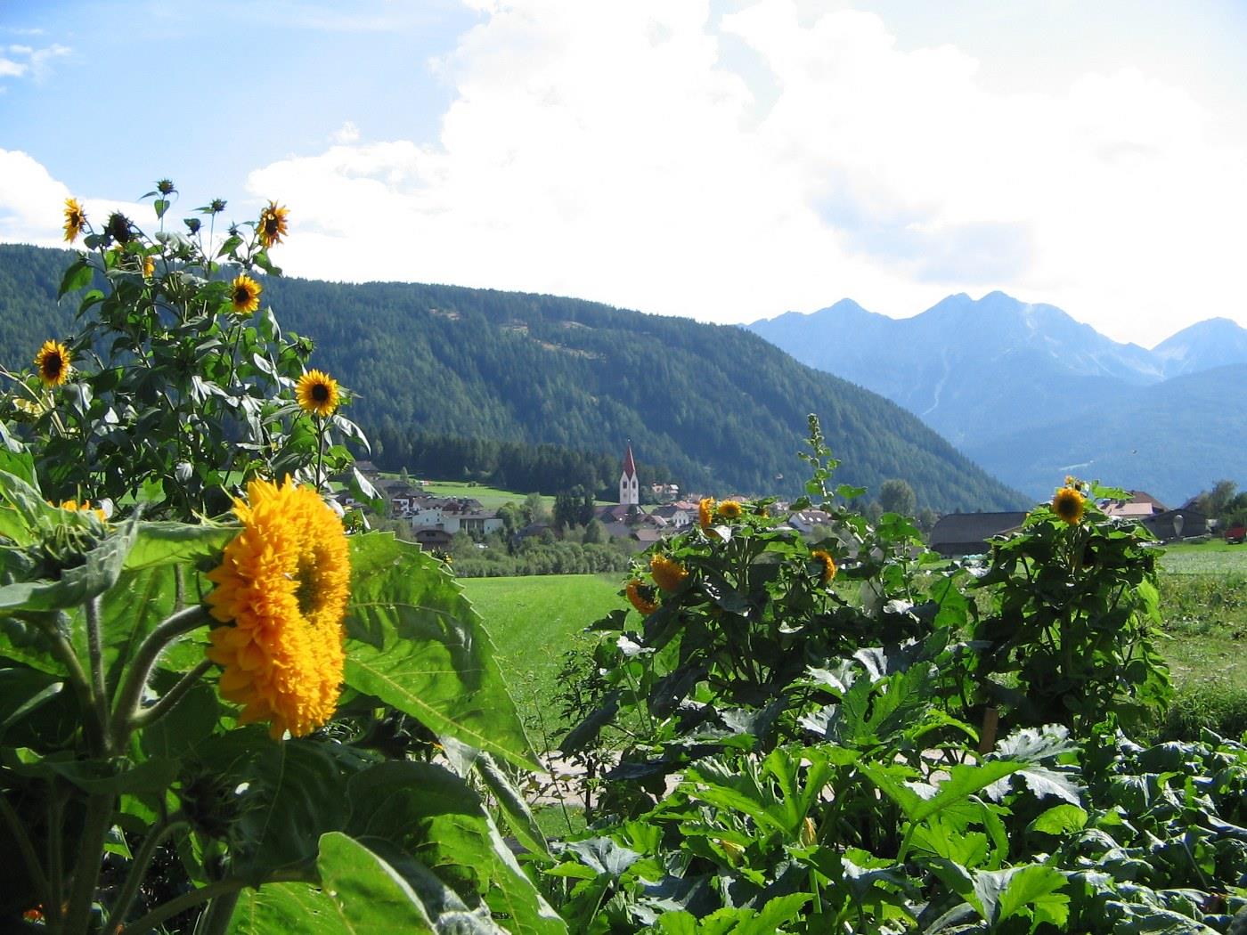 Branterhof Rasen-Antholz 7 suedtirol.info