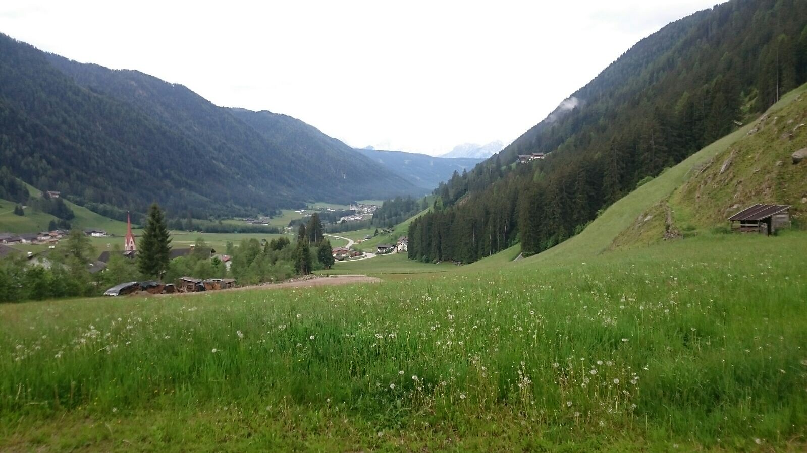 view